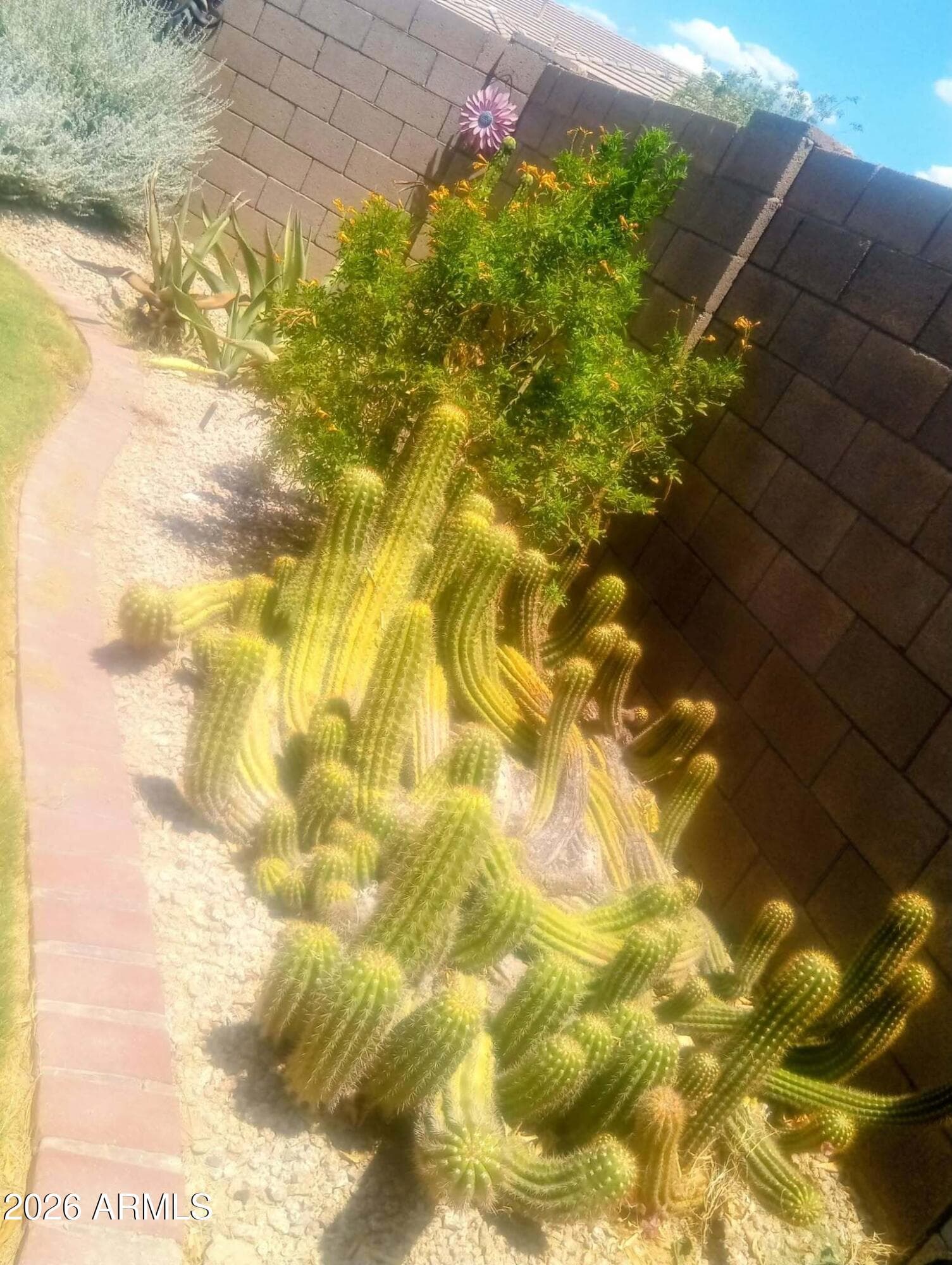 11490 S MORNINGSIDE Drive, Goodyear, AZ 85338 — photo 13 of 28
