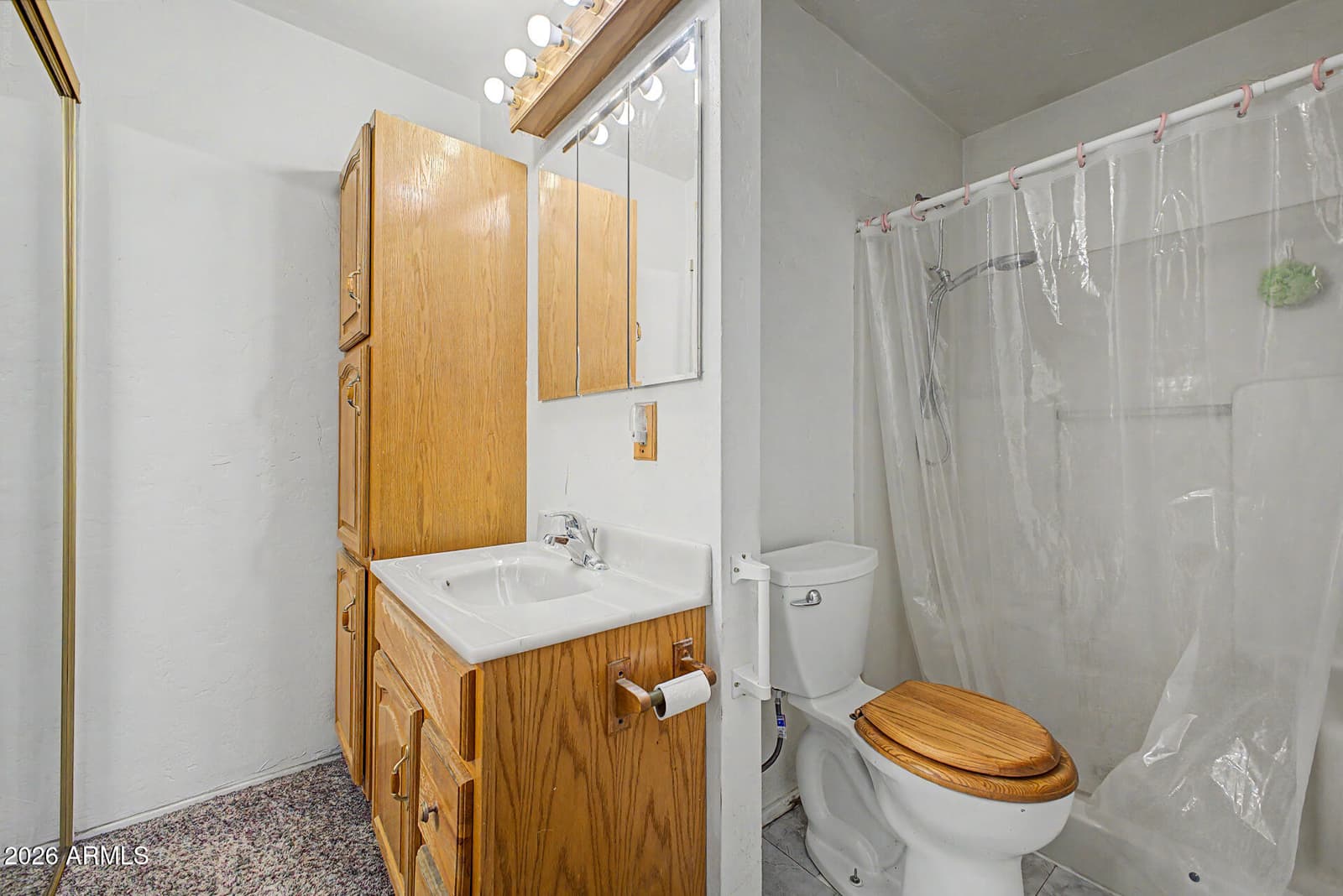 3019 W EL CAMINITO Drive, Phoenix, AZ 85051 — photo 13 of 28