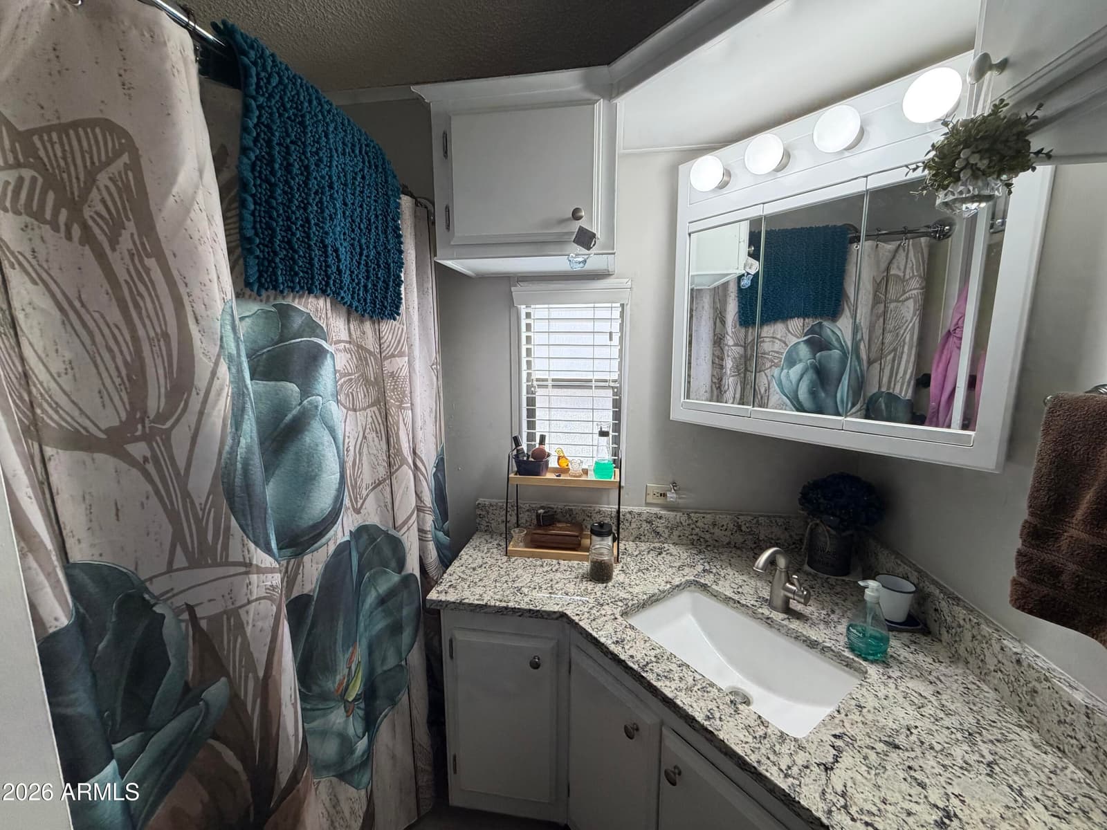 1073 S SENECA Drive, Apache Junction, AZ 85119 — photo 14 of 23