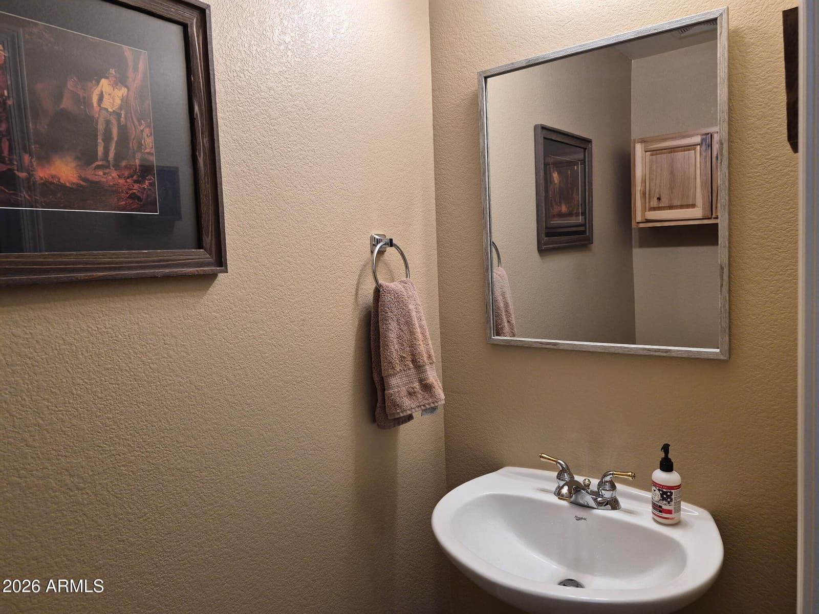 2411 W LUCIA Drive, Phoenix, AZ 85085 — photo 18 of 60