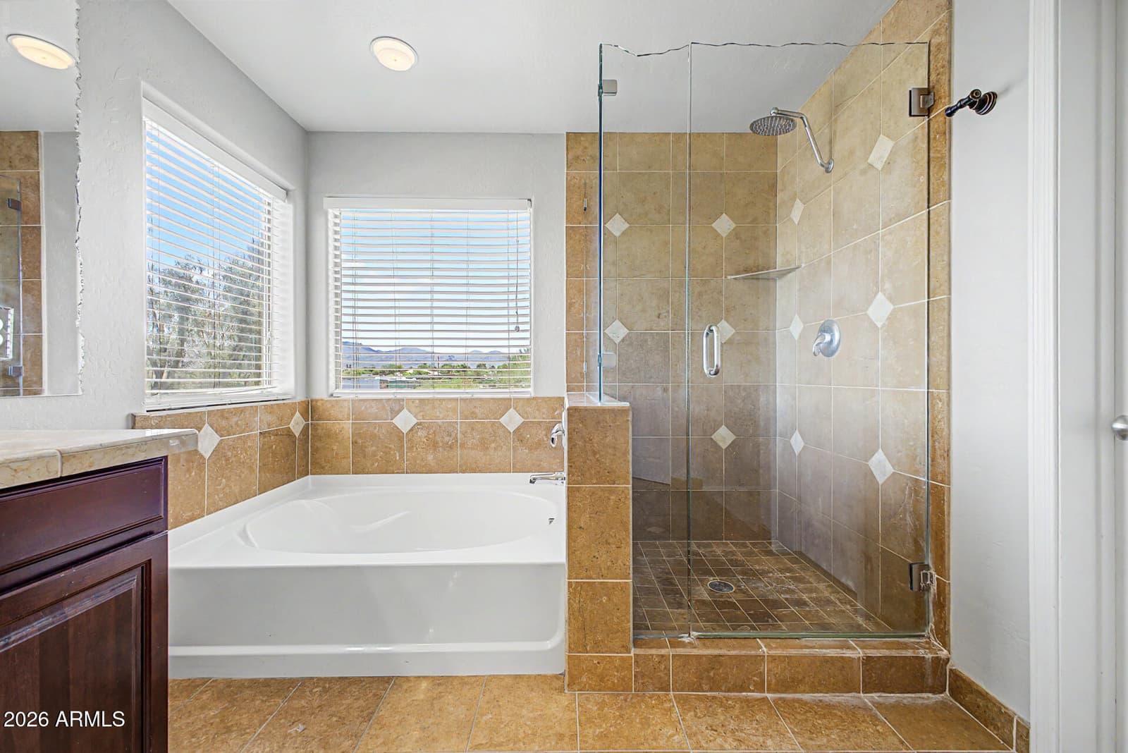 17873 W WATSON Lane, Surprise, AZ 85388 — photo 27 of 61