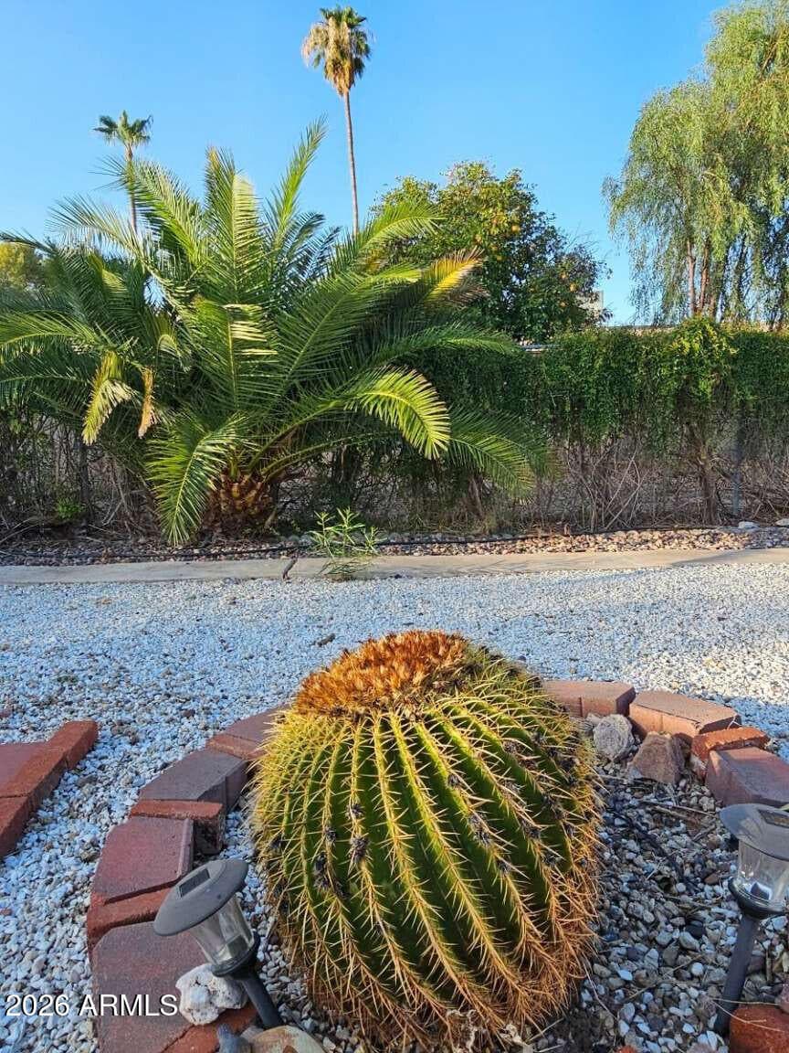 821 N SPUR Circle, Mesa, AZ 85203 — photo 3 of 54