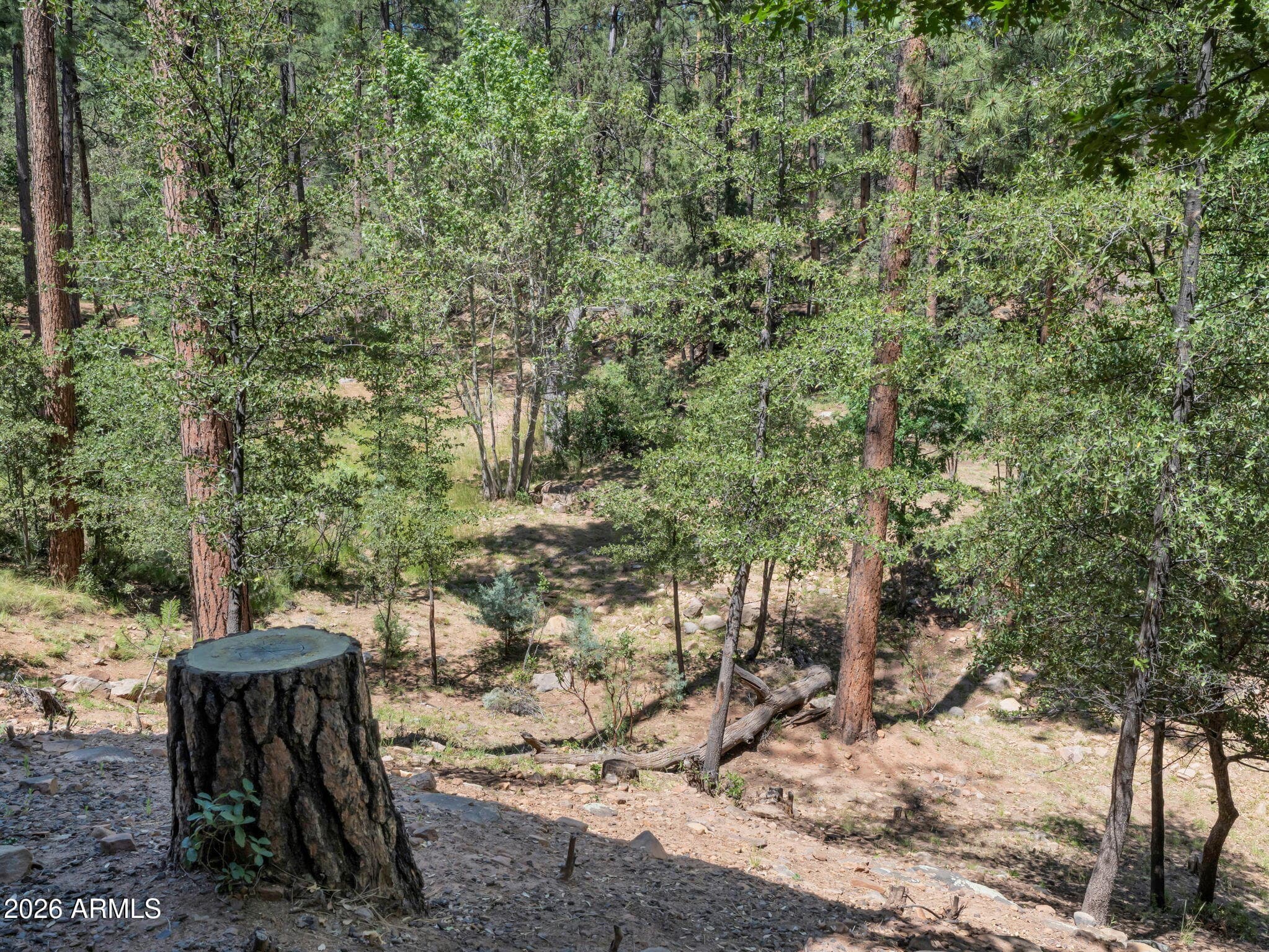 4255 N STRAWBERRY Hollow, Pine, AZ 85544 — photo 31 of 40