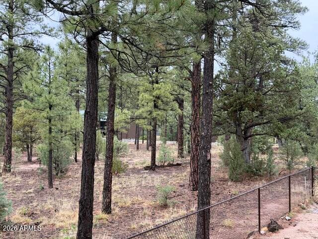1080 S Redberry Drive, Show Low, AZ 85901 — photo 42 of 55