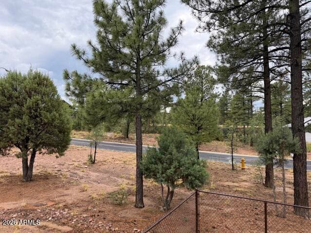 1080 S Redberry Drive, Show Low, AZ 85901 — photo 43 of 55