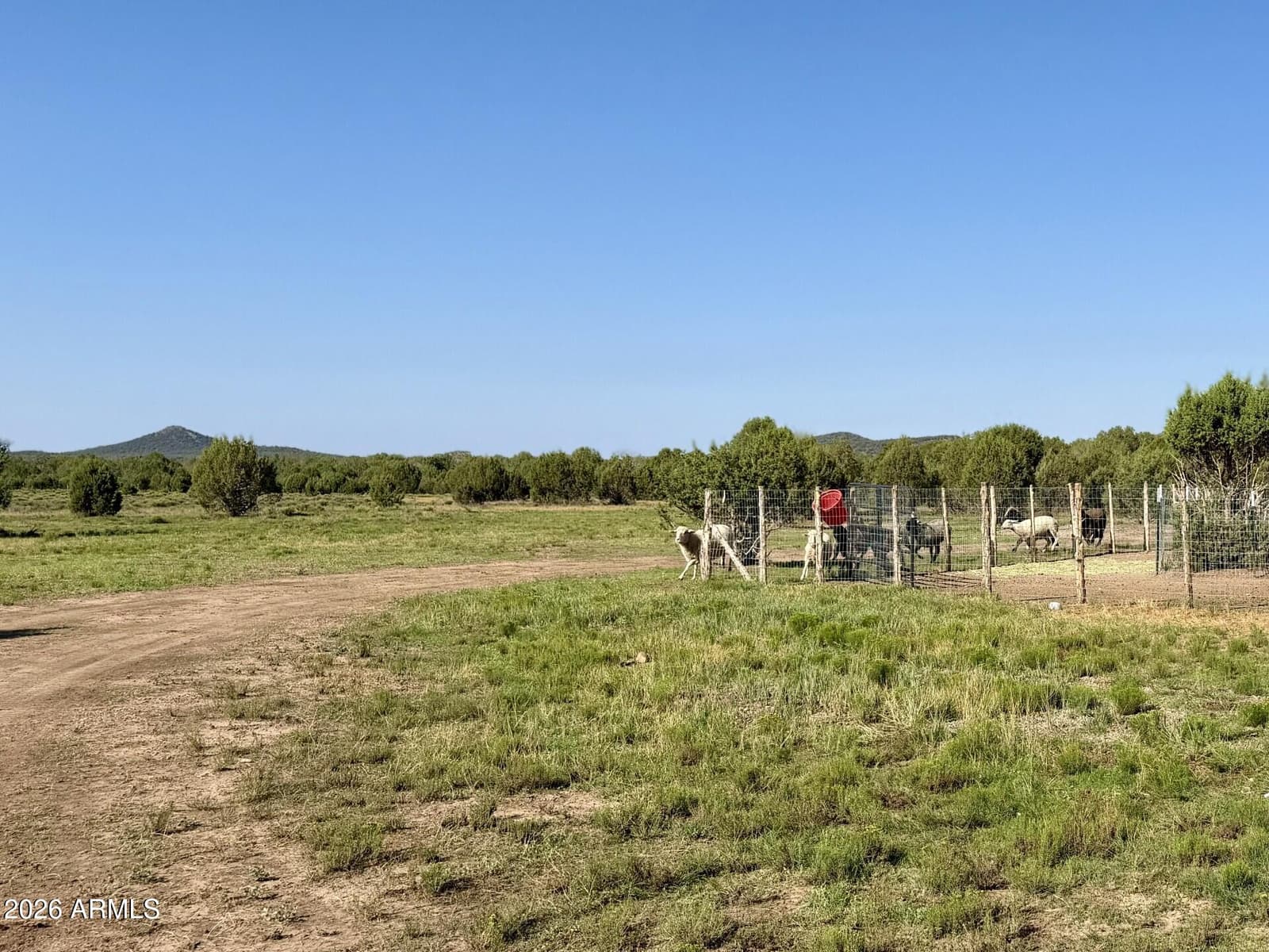 12700 Madman Mountain Road, Williams, AZ 86046 — photo 22 of 32