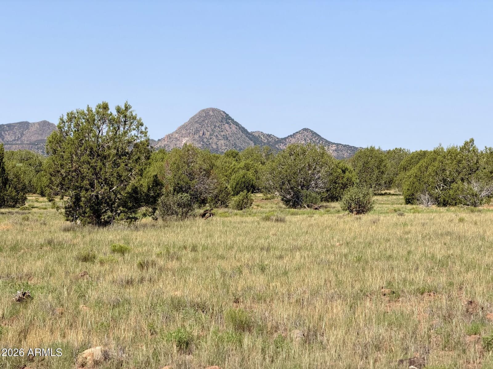 12700 Madman Mountain Road, Williams, AZ 86046 — photo 26 of 32