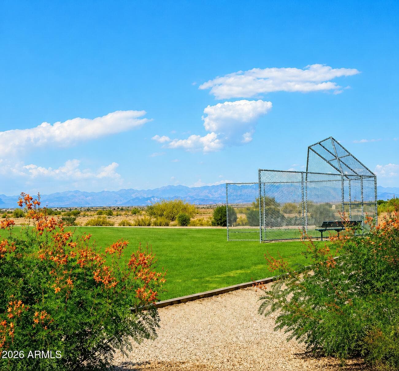 29173 N YELLOW BEE Drive, San Tan Valley, AZ 85143 — photo 42 of 50