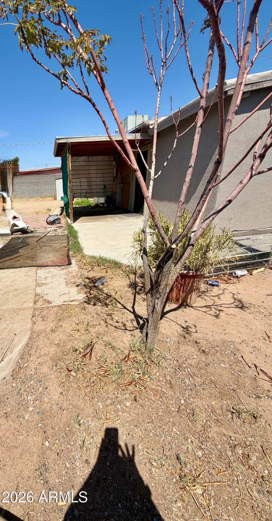 3301 W HOLLY Street, Phoenix, AZ 85009 — photo 15 of 18