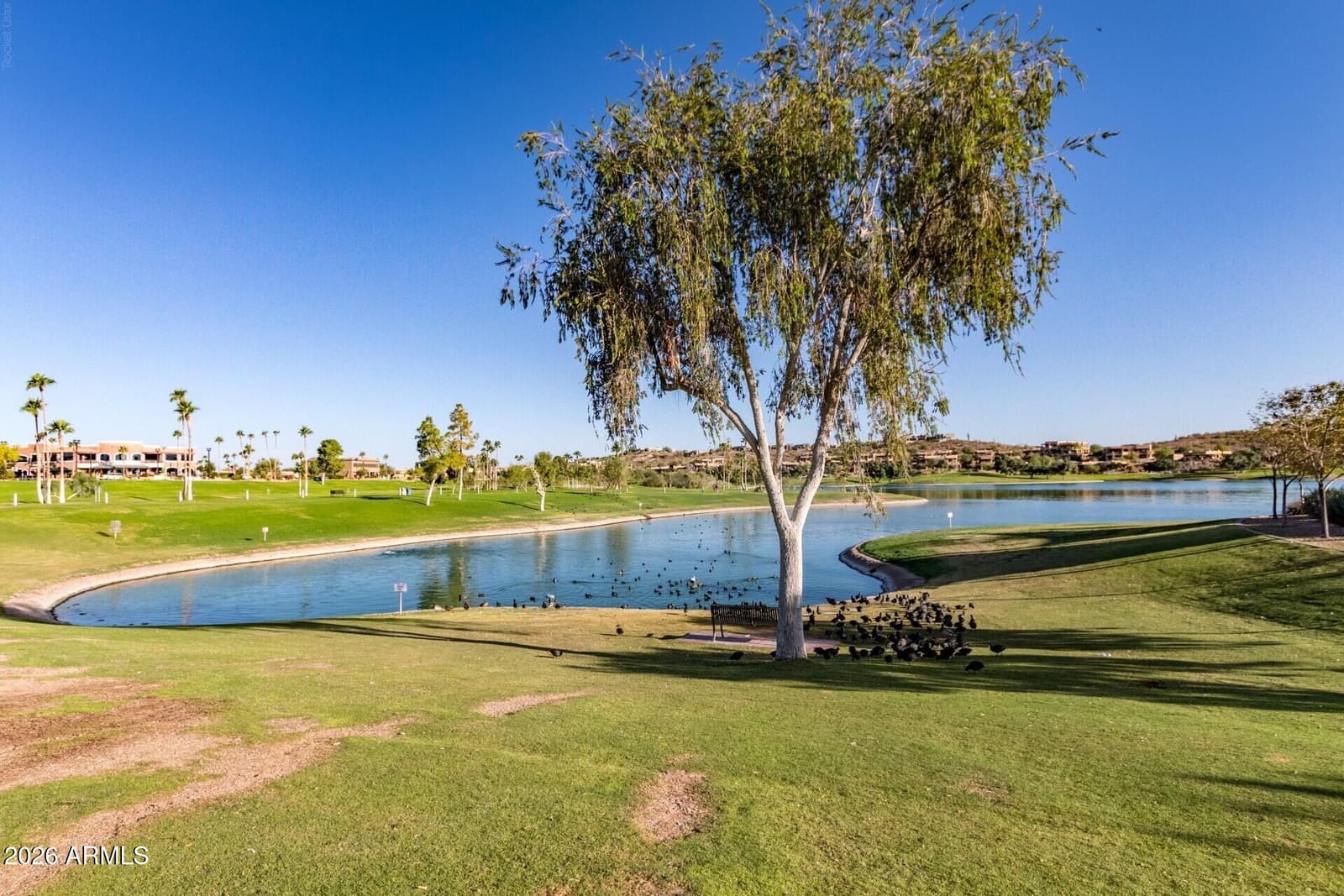 15021 N CALLE DEL PRADO, Fountain Hills, AZ 85268 — photo 67 of 97