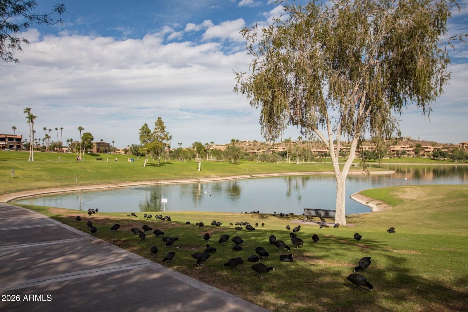 15021 N CALLE DEL PRADO, Fountain Hills, AZ 85268 — photo 89 of 97