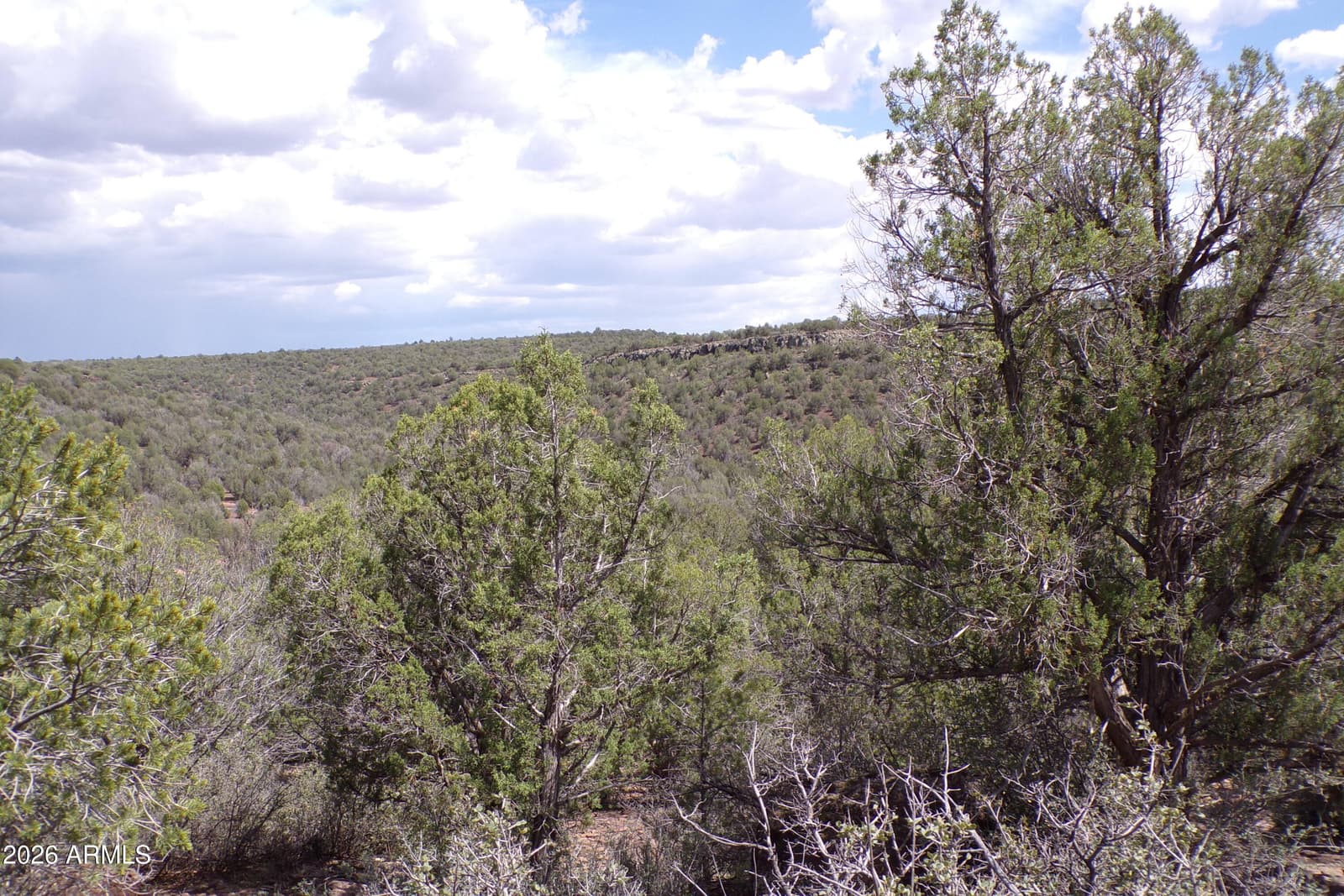 4619 N LOOKOUT CANYON Road, Kingman, AZ 86401 — photo 24 of 66