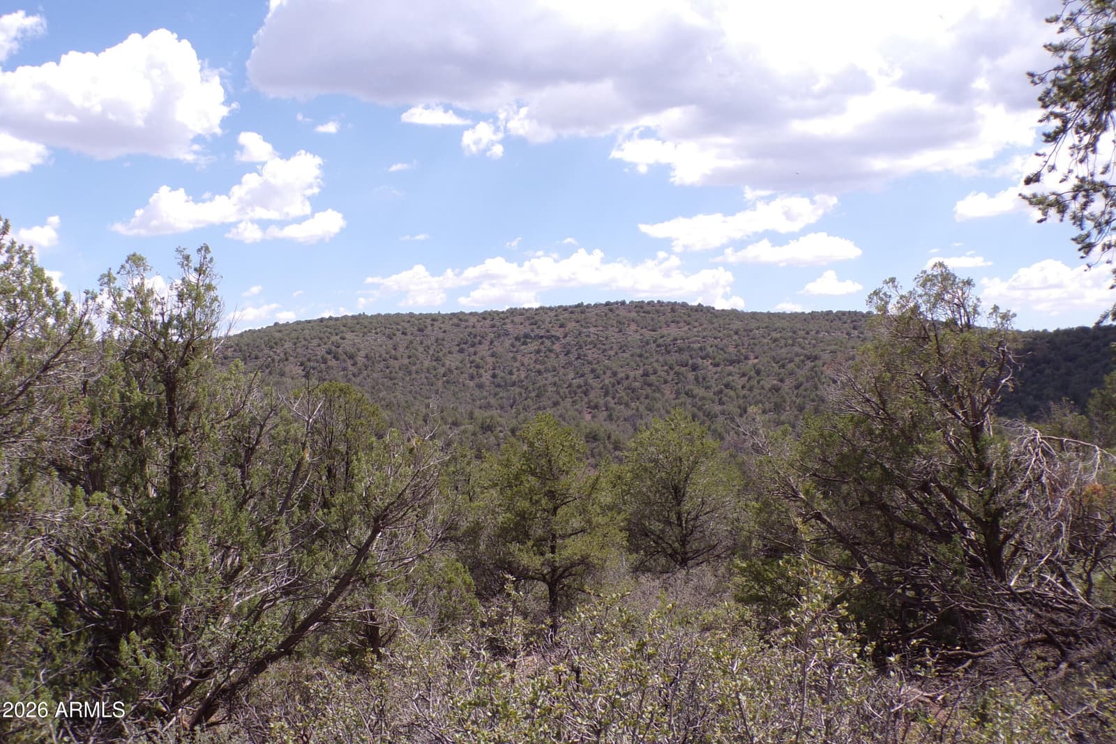 4619 N LOOKOUT CANYON Road, Kingman, AZ 86401 — photo 25 of 66