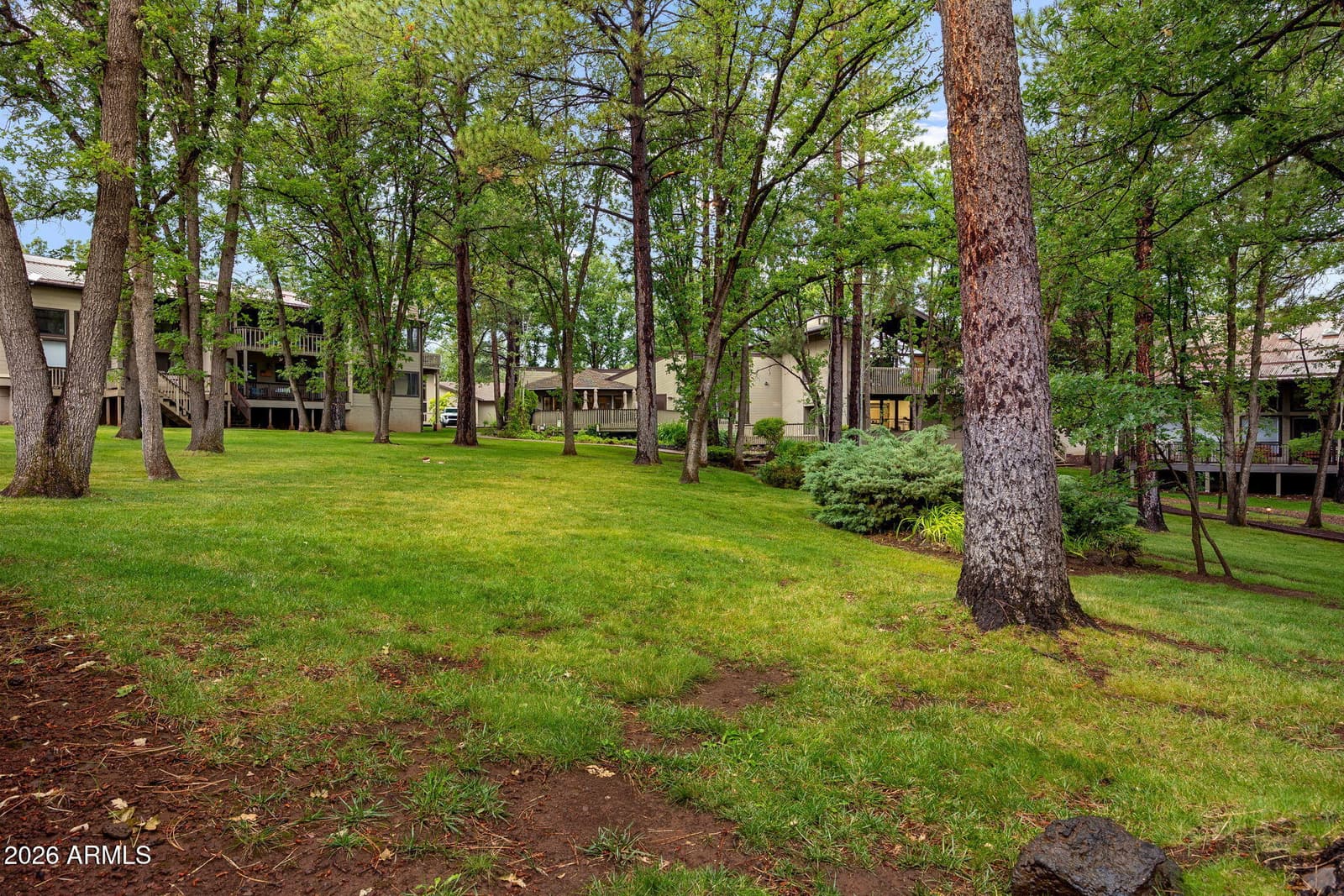 3712 CROWN DANCER Drive, Pinetop, AZ 85935 — photo 29 of 42