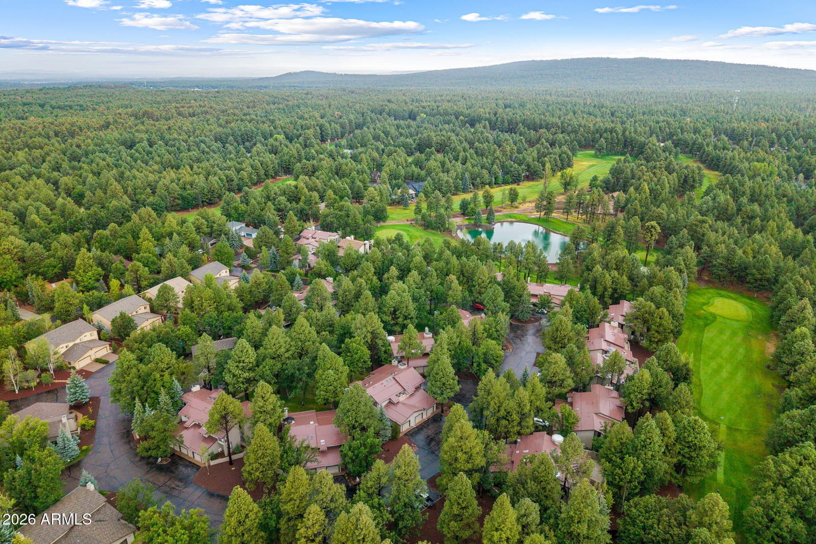 3712 CROWN DANCER Drive, Pinetop, AZ 85935 — photo 31 of 42