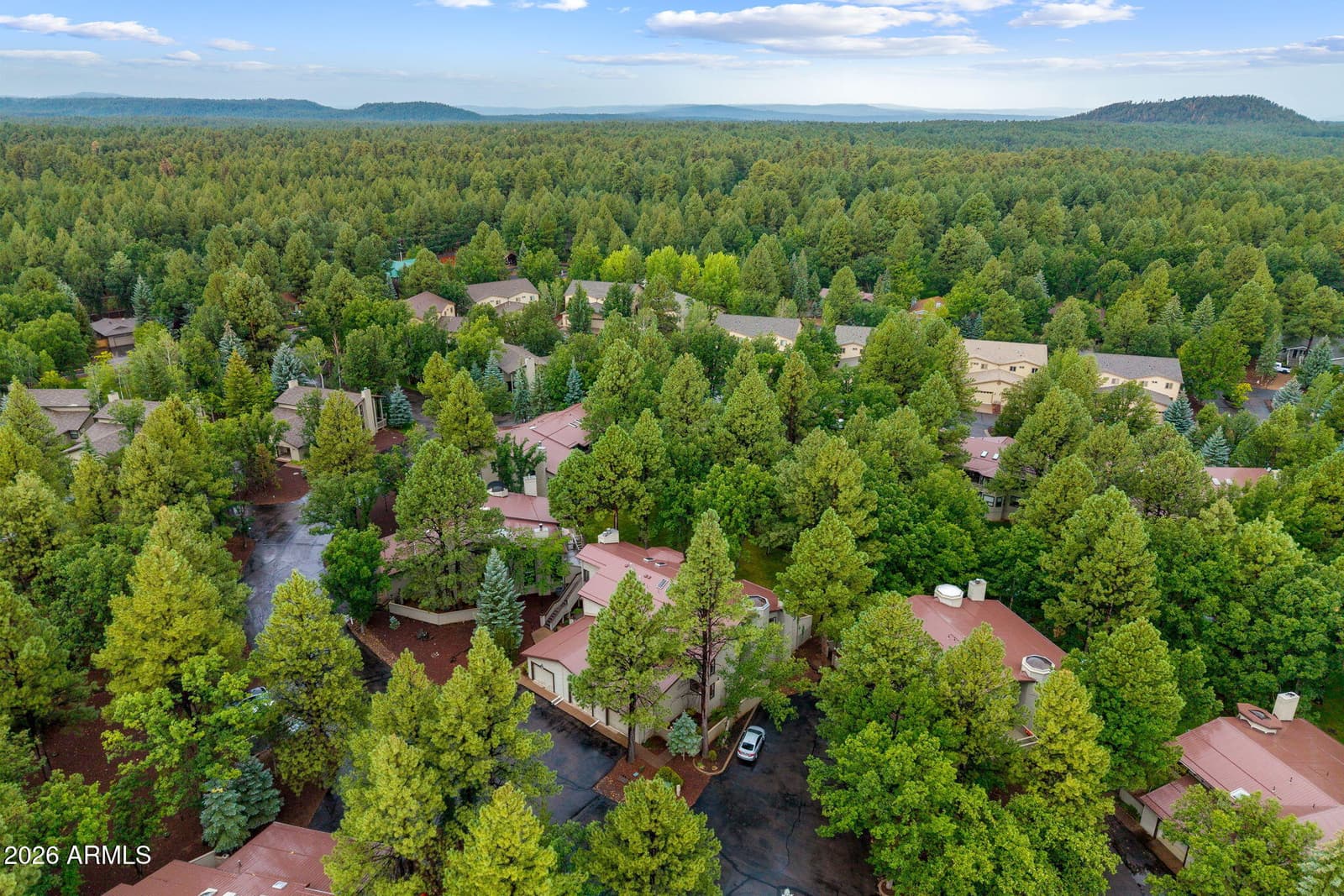 3712 CROWN DANCER Drive, Pinetop, AZ 85935 — photo 32 of 42