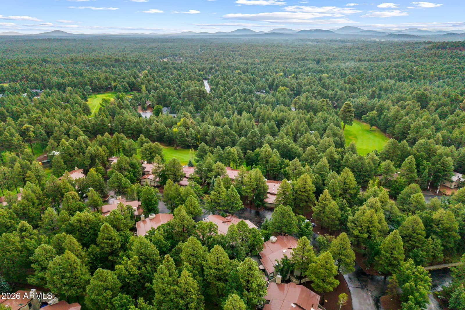 3712 CROWN DANCER Drive, Pinetop, AZ 85935 — photo 33 of 42