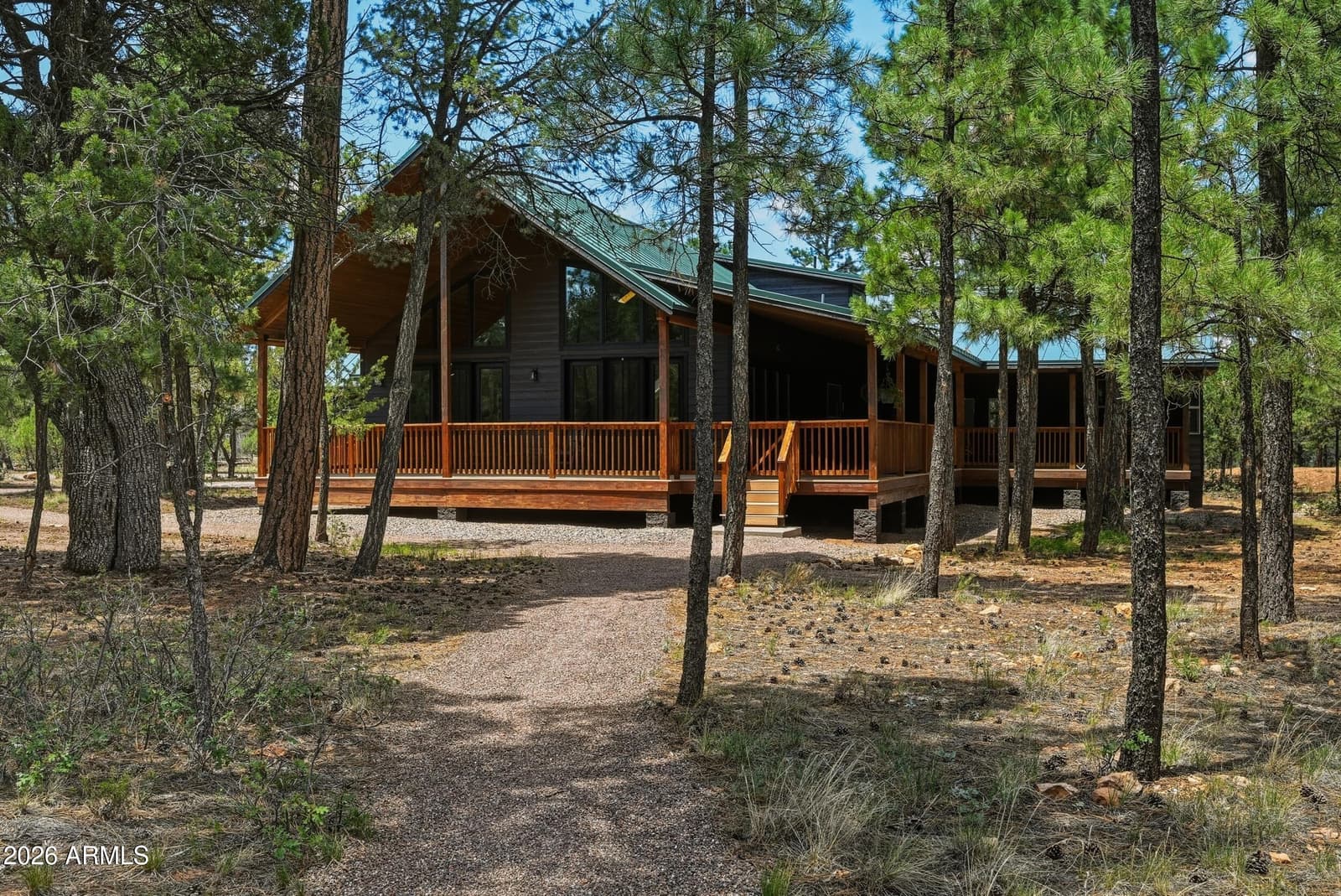 6607 MOGOLLON Trail, Happy Jack, AZ 86024 — photo 3 of 69