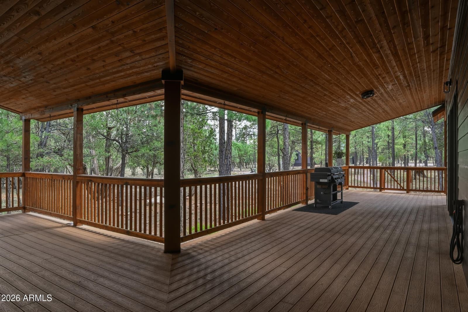 6607 MOGOLLON Trail, Happy Jack, AZ 86024 — photo 42 of 69