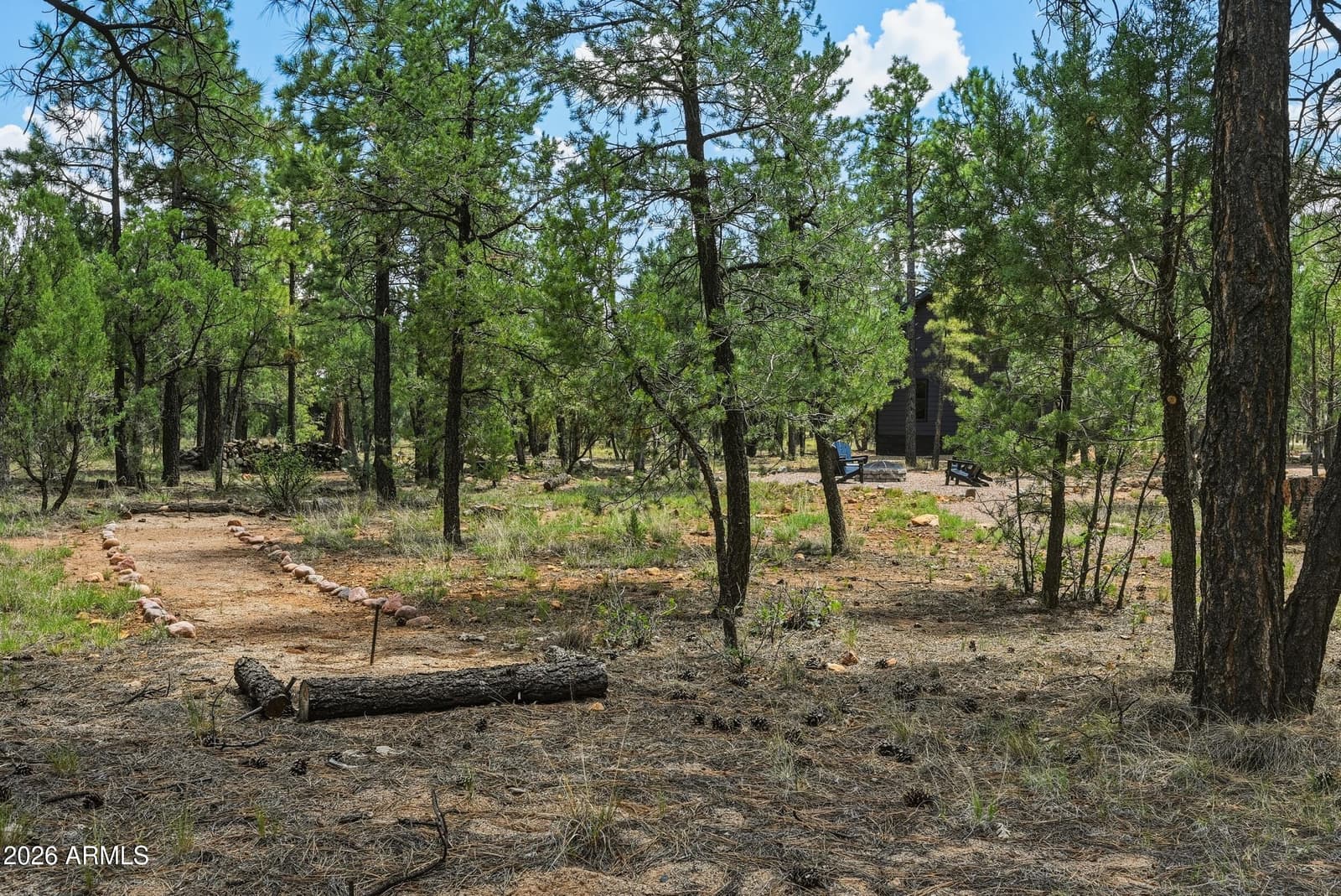 6607 MOGOLLON Trail, Happy Jack, AZ 86024 — photo 51 of 69