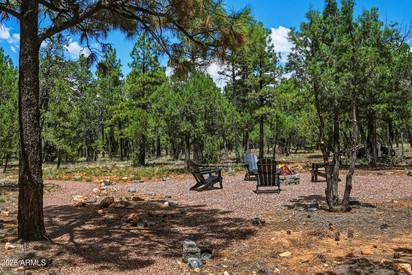 6607 MOGOLLON Trail, Happy Jack, AZ 86024 — photo 53 of 69
