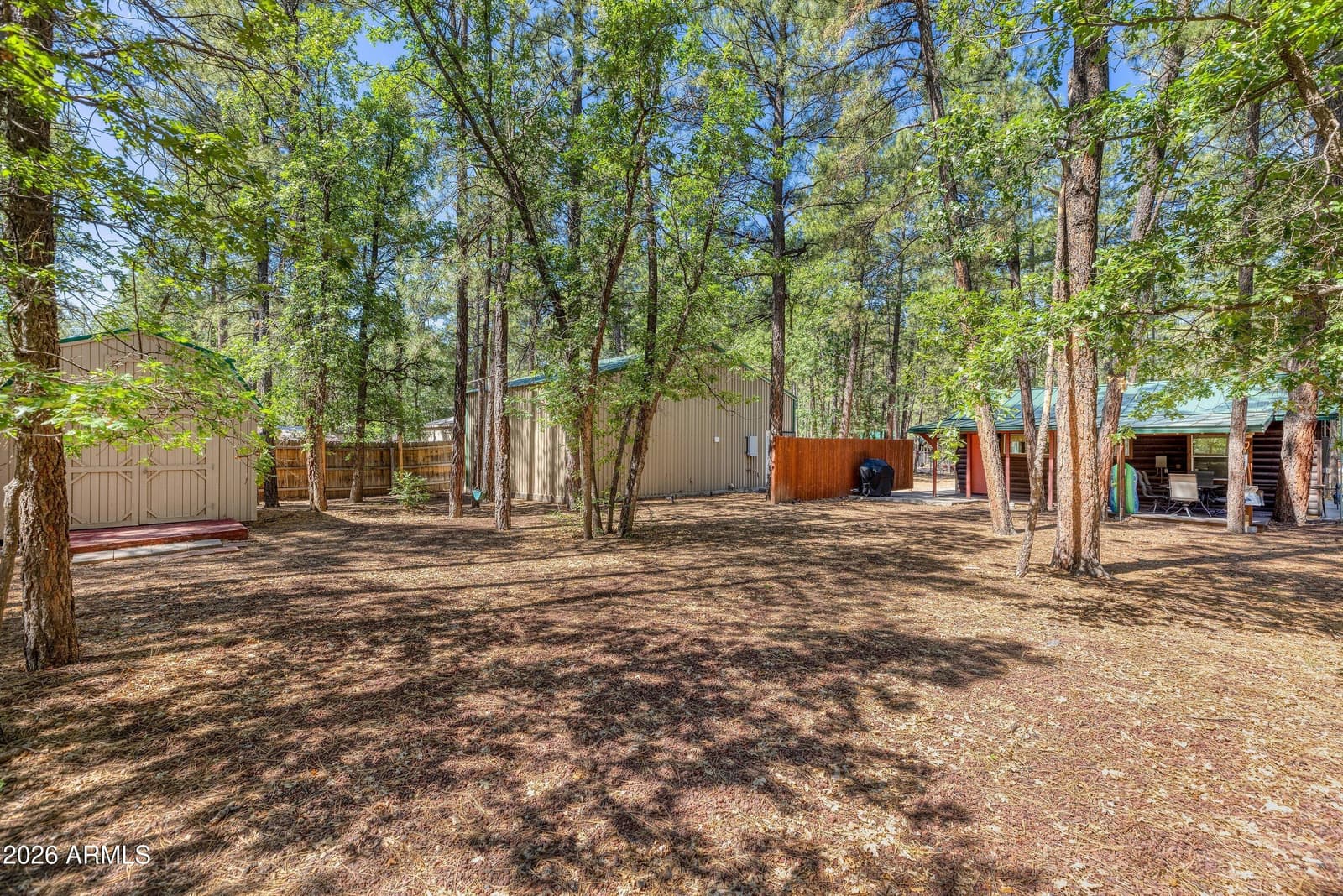 515 Lilly Drive, Lakeside, AZ 85929 — photo 23 of 28