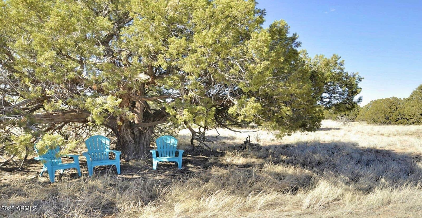 12 N8543, Concho, AZ 85924 — photo 70 of 85