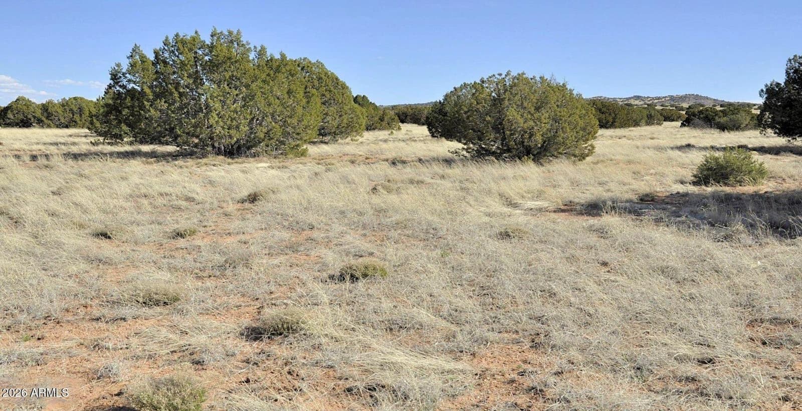 12 N8543, Concho, AZ 85924 — photo 72 of 85