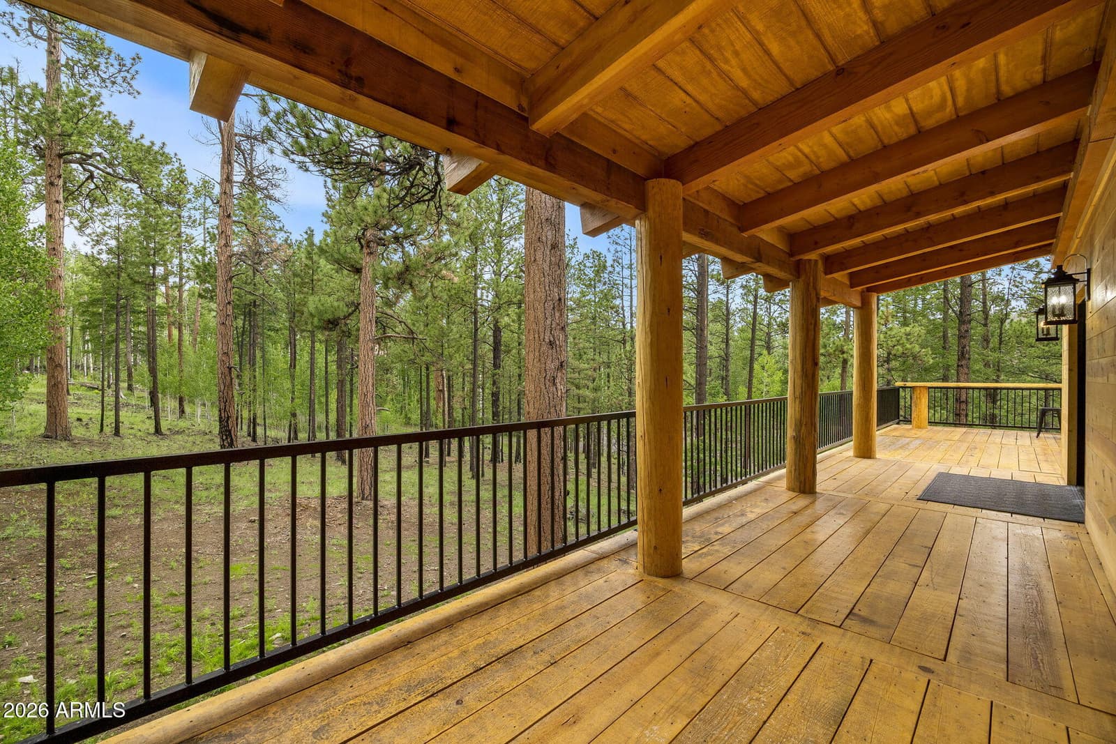 26 N 1062, Greer, AZ 85927 — photo 29 of 43