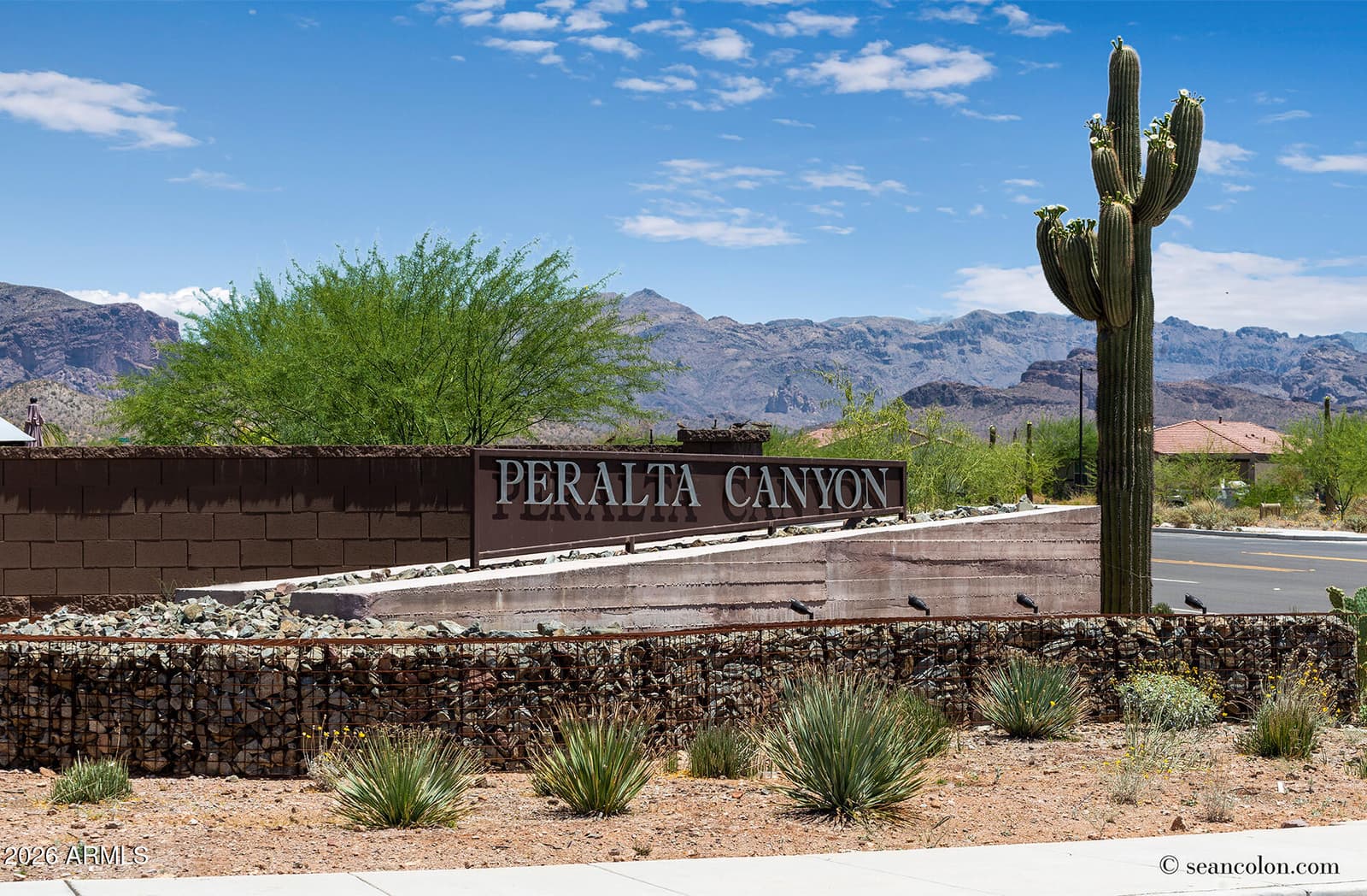 7313 S BENNETT Circle, Gold Canyon, AZ 85118 — photo 68 of 92