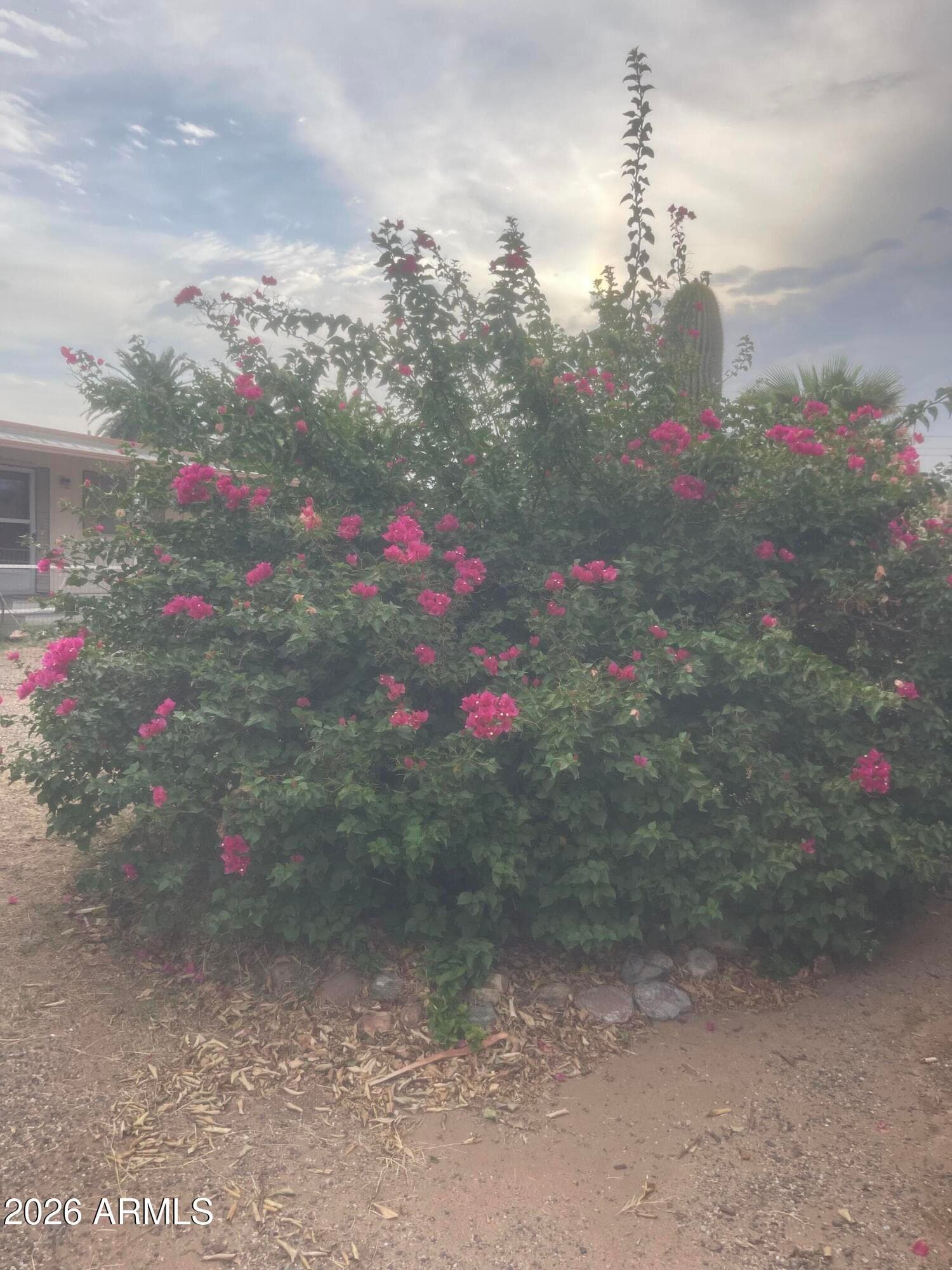 34270 S BERTHA Street, Black Canyon City, AZ 85324 — photo 21 of 31