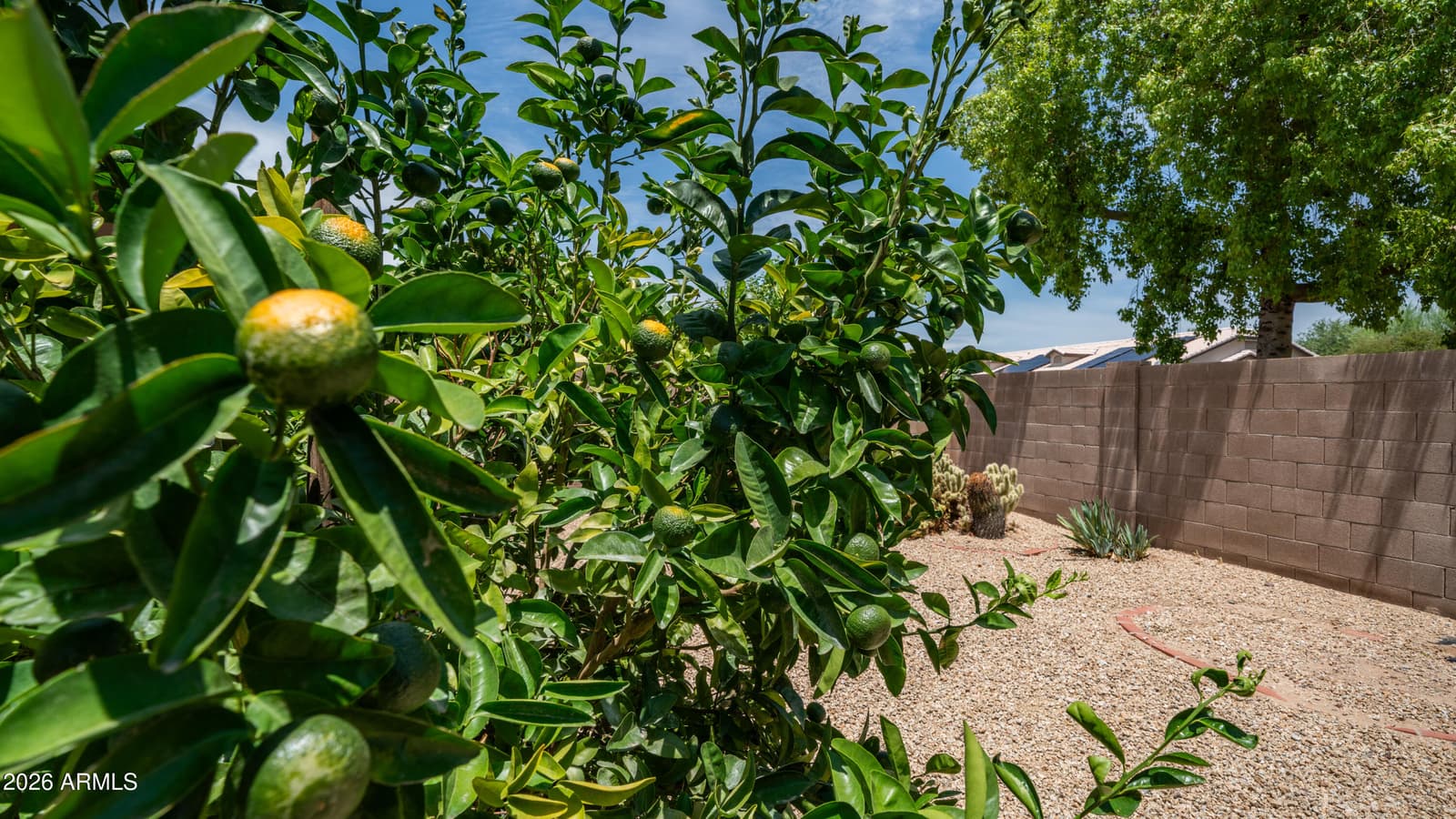 20461 N 105TH Avenue, Peoria, AZ 85382 — photo 5 of 35