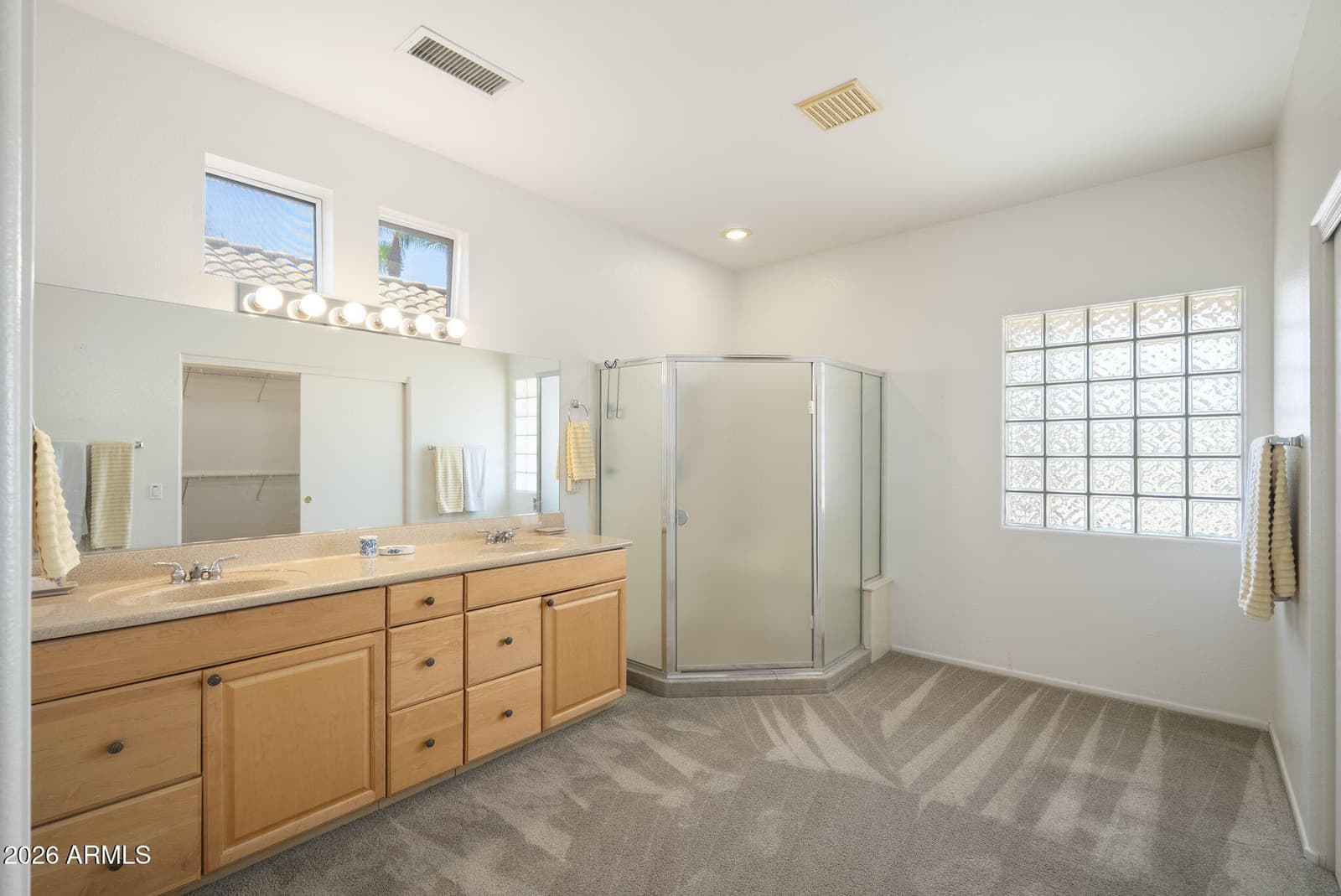 16406 W SILVER CREEK Drive, Surprise, AZ 85374 — photo 23 of 45