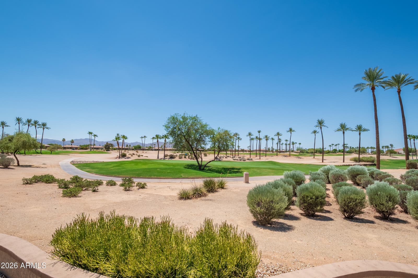 19516 N CORONADO RIDGE Drive, Surprise, AZ 85387 — photo 45 of 62