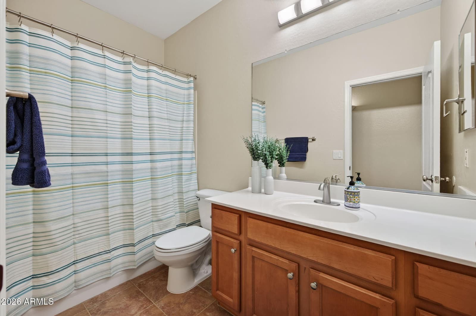 12533 W BIRD Lane, Litchfield Park, AZ 85340 — photo 23 of 36