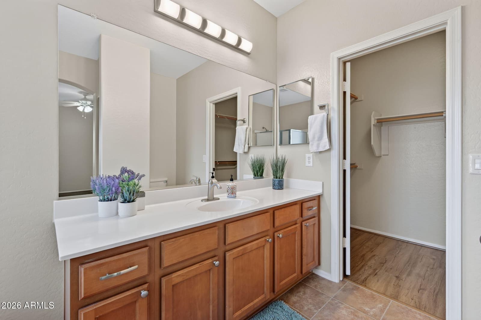 12533 W BIRD Lane, Litchfield Park, AZ 85340 — photo 16 of 36