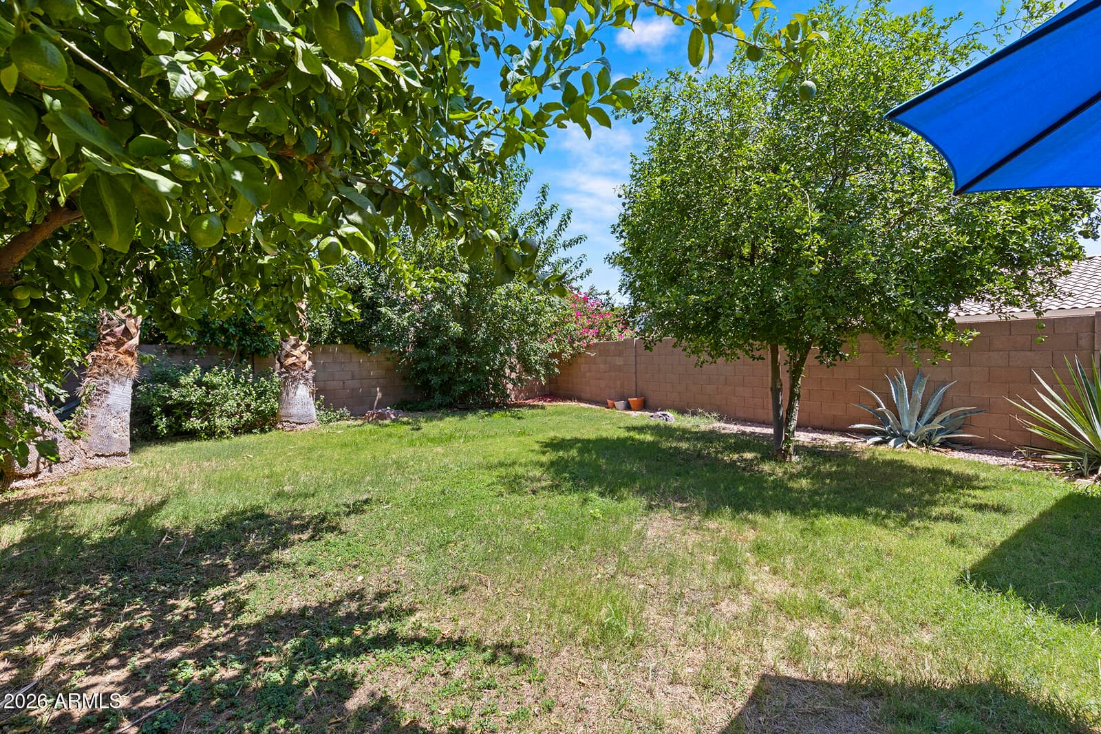 5018 W WIKIEUP Lane, Glendale, AZ 85308 — photo 30 of 32