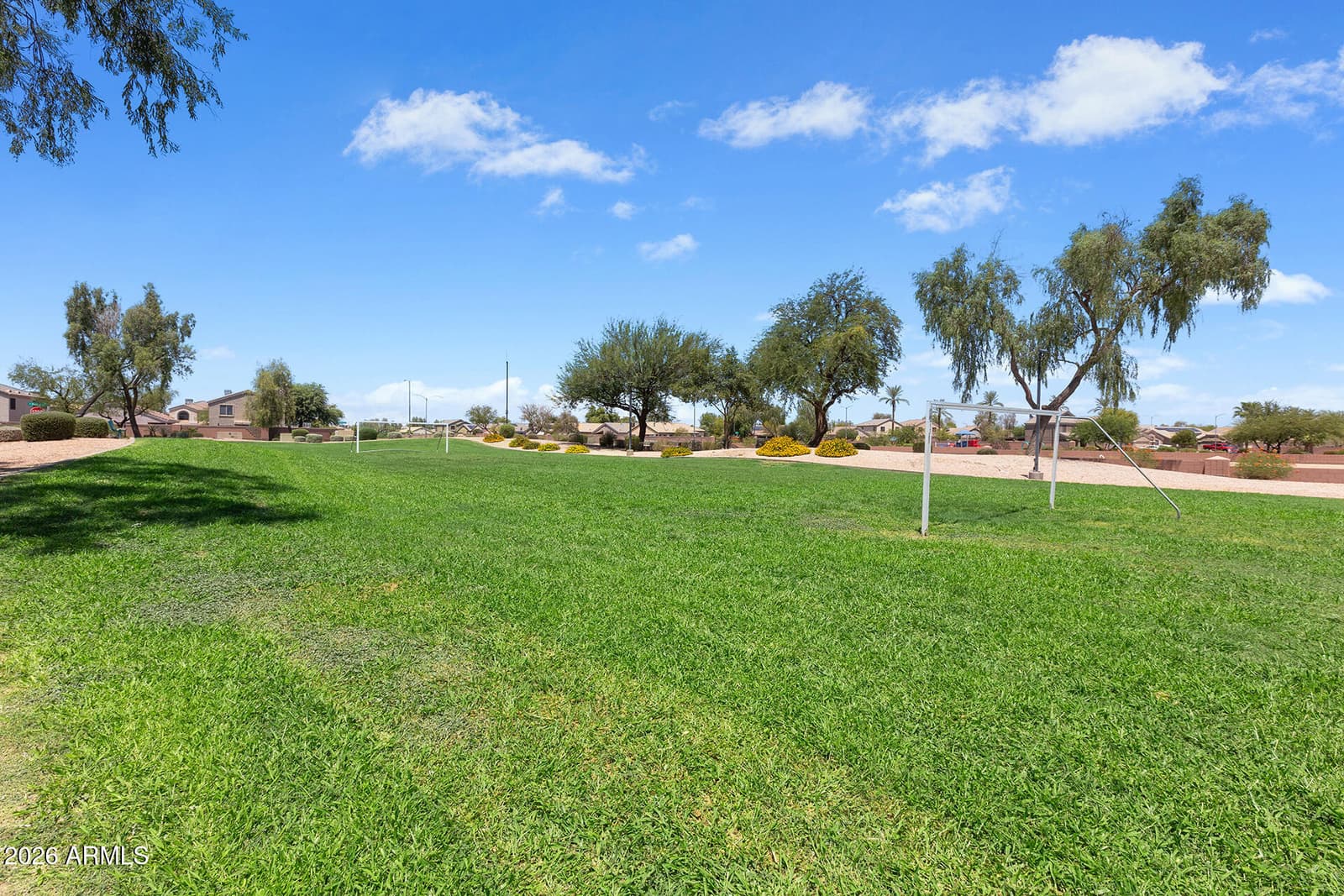 12536 W SAINT MORITZ Lane, El Mirage, AZ 85335 — photo 23 of 24