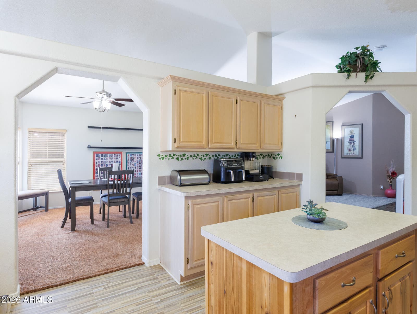 880 W MOON SHADOW Drive, Casa Grande, AZ 85122 — photo 10 of 43