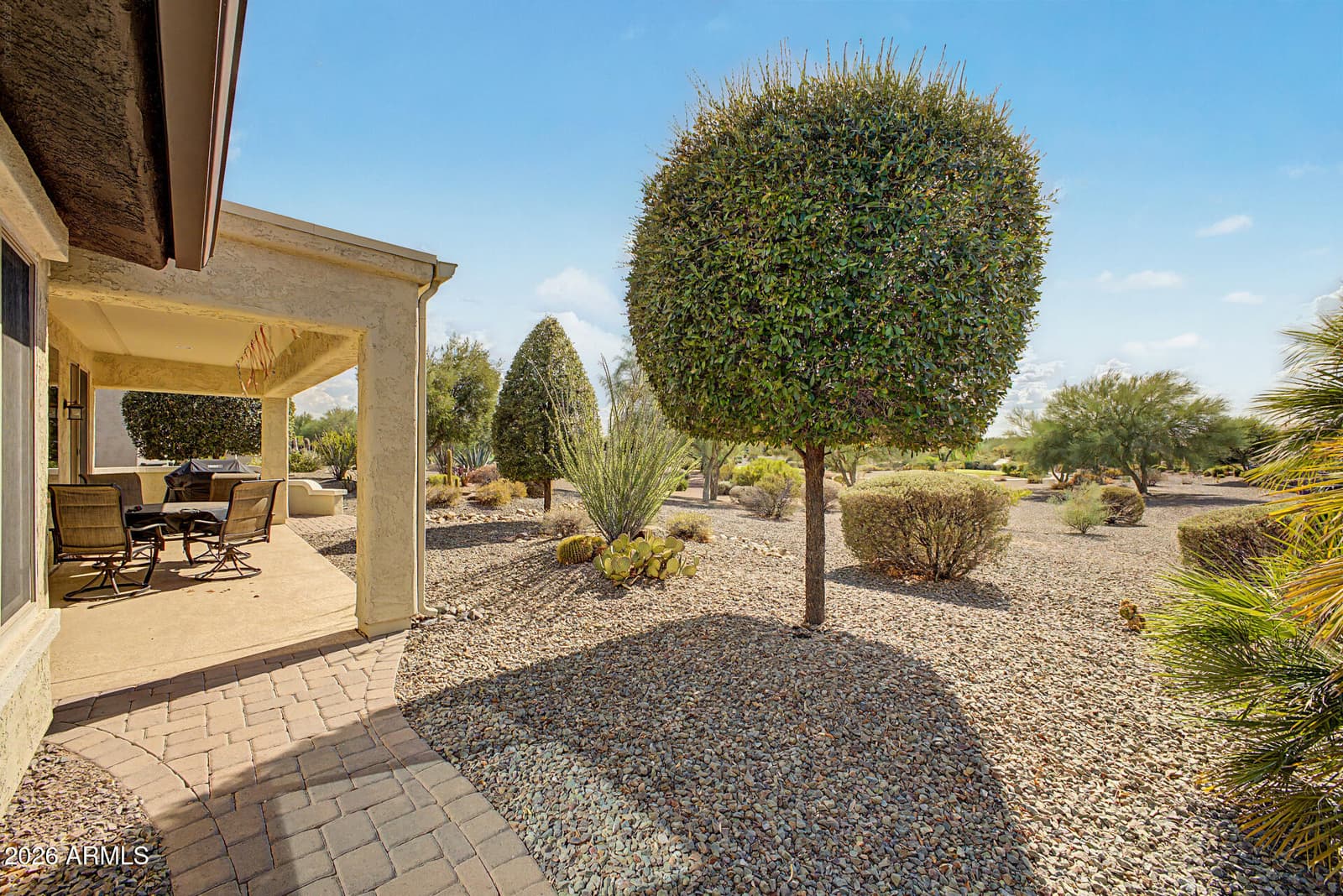 21548 N 262nd Lane, Buckeye, AZ 85396 — photo 23 of 26