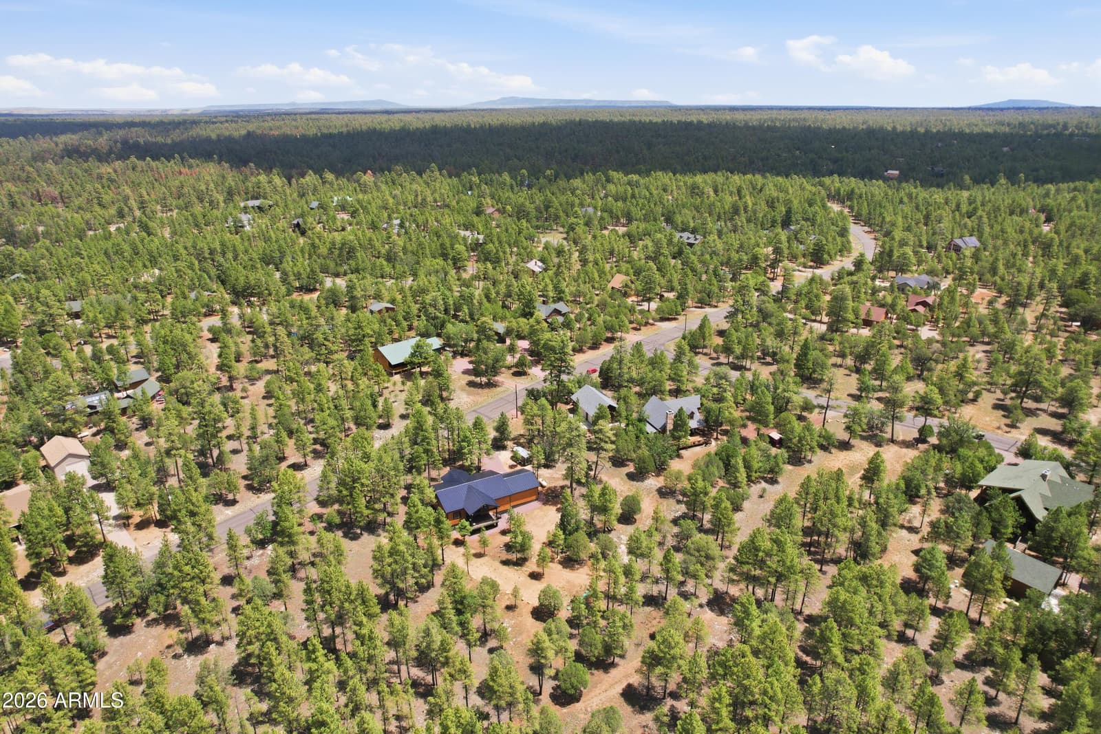 3847 APACHE Drive, Happy Jack, AZ 86024 — photo 10 of 48