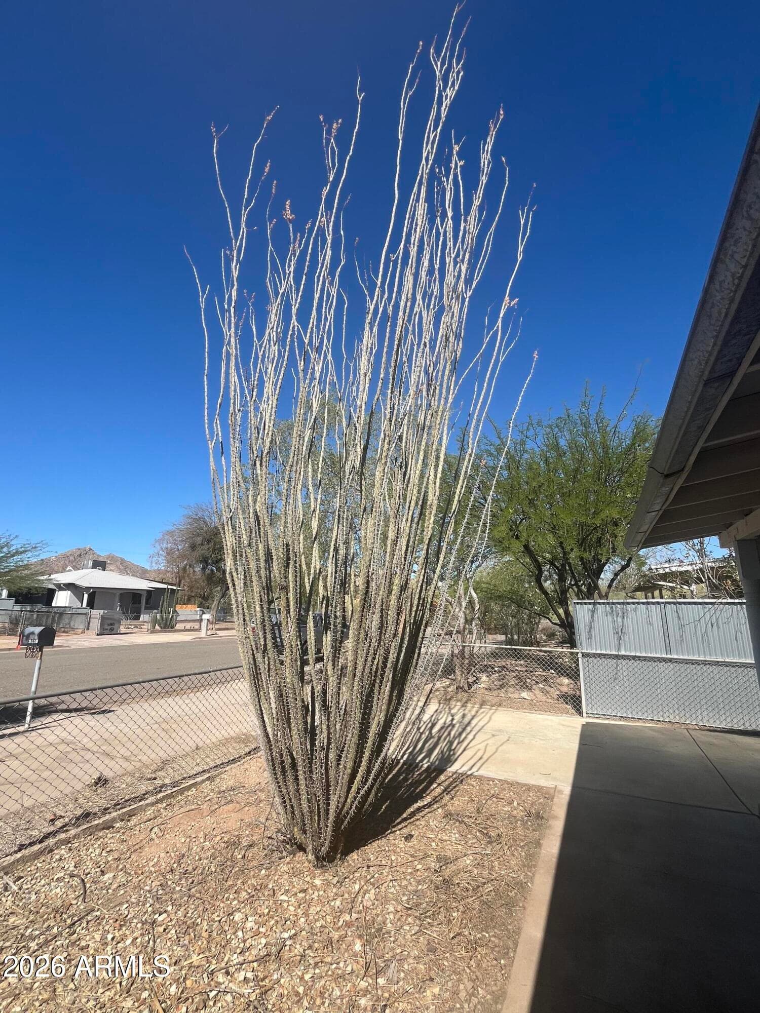 311 E 2ND Avenue, Ajo, AZ 85321 — photo 5 of 35