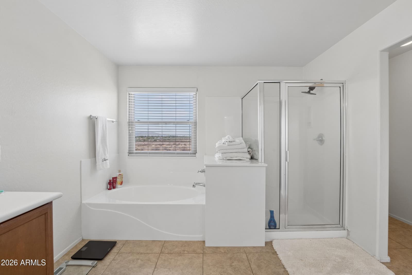 12061 W LOUISE Court, Sun City, AZ 85373 — photo 35 of 64