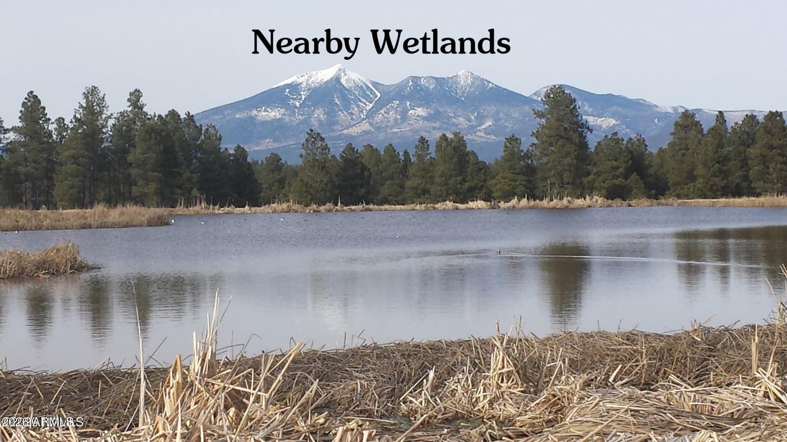 2625 Chaco Trail, Flagstaff, AZ 86005 — photo 39 of 40