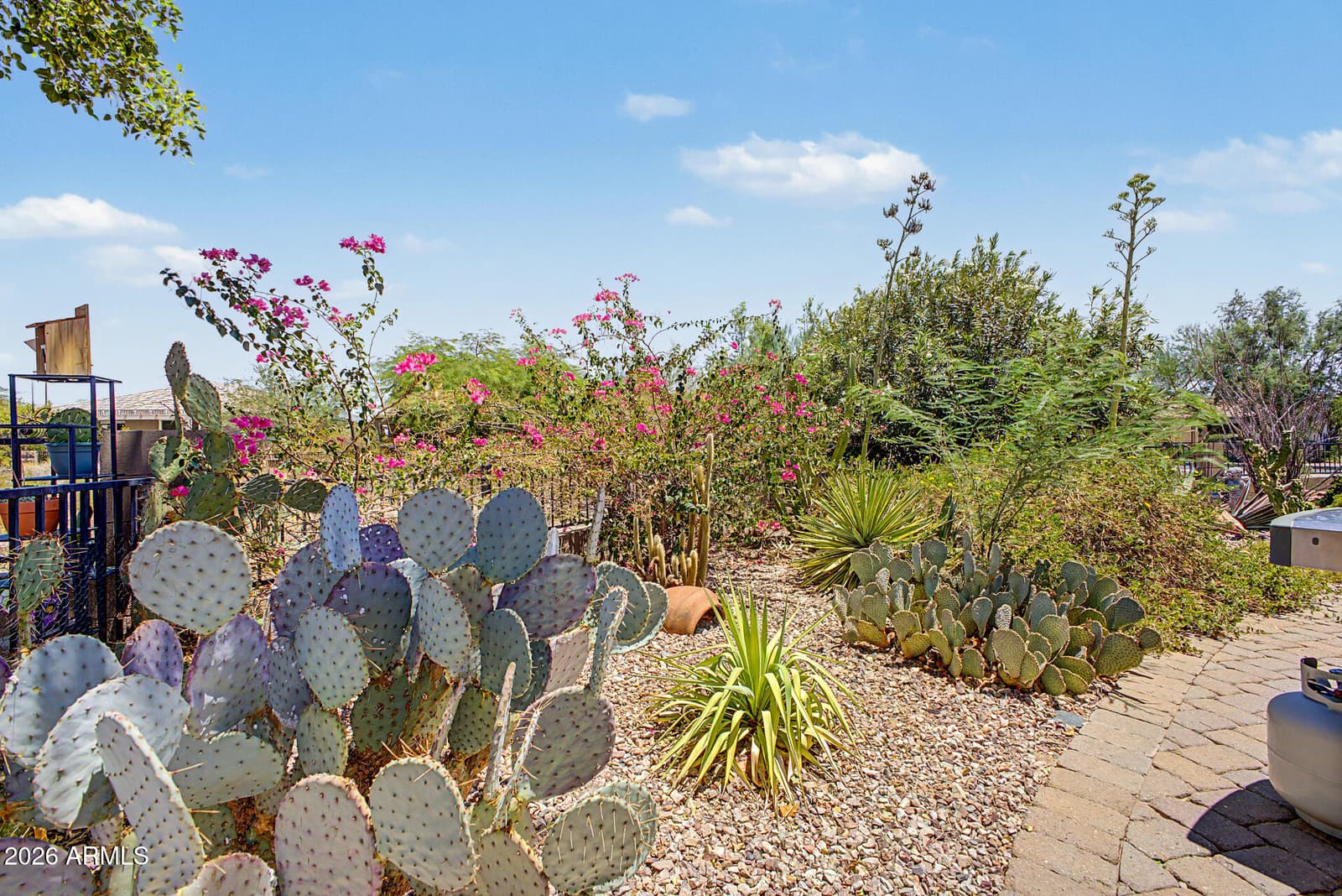 839 S 229TH Drive, Buckeye, AZ 85326 — photo 40 of 40