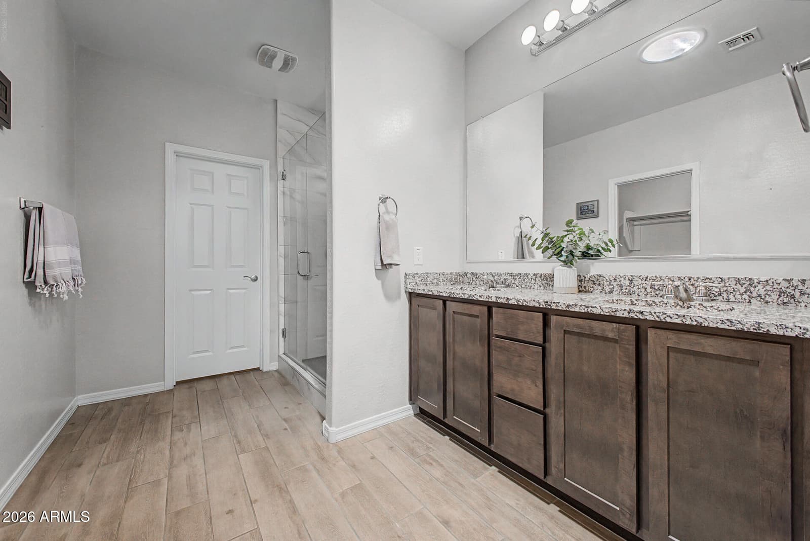 22682 E DOMINGO Road, Queen Creek, AZ 85142 — photo 13 of 25