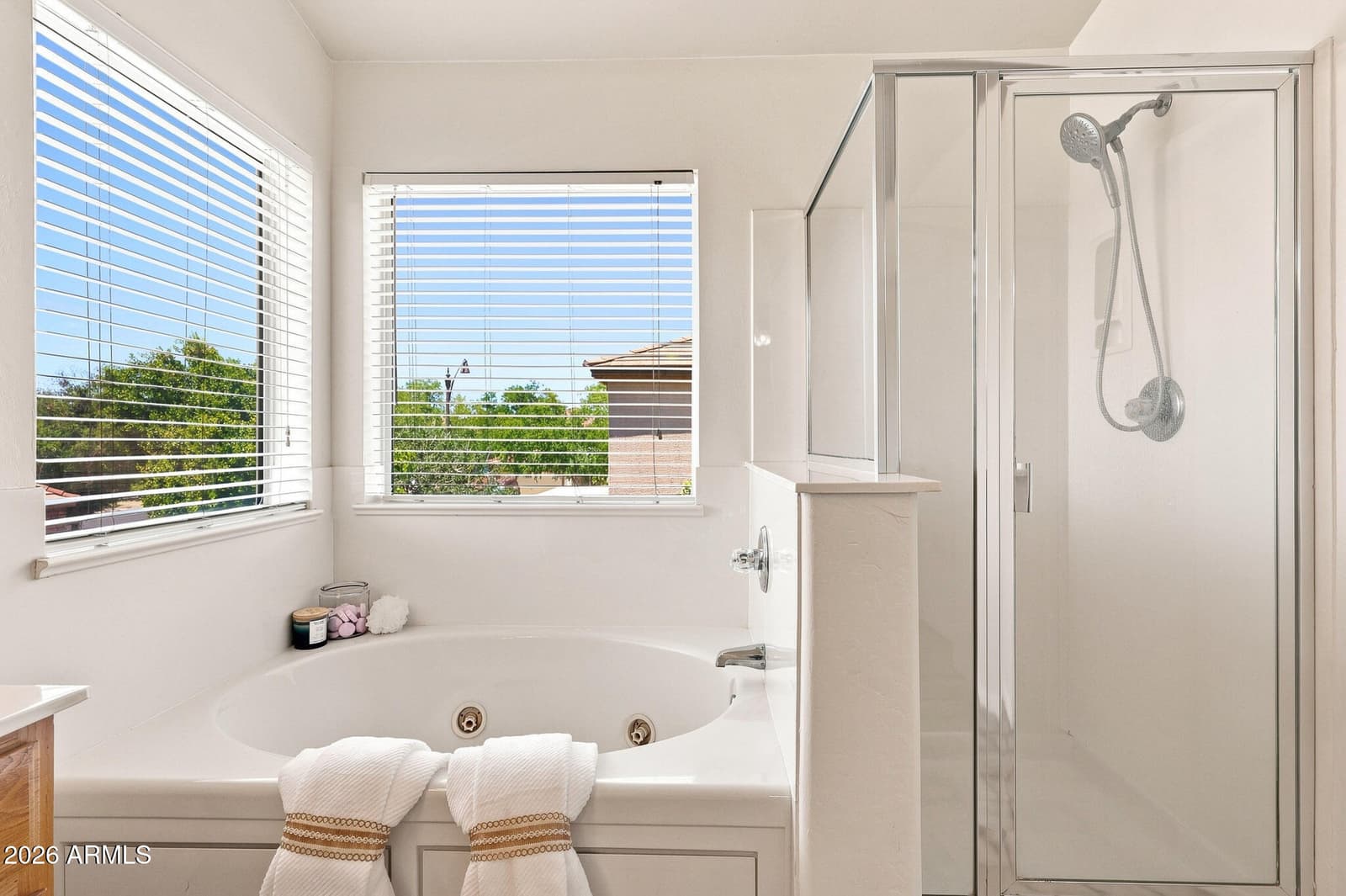 1562 S SABINO Court, Gilbert, AZ 85296 — photo 30 of 51