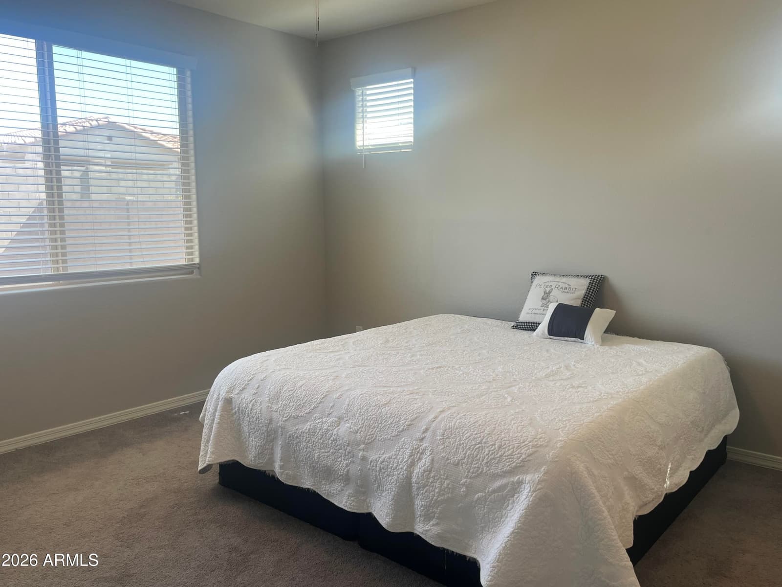 14602 W ASTER Drive, Surprise, AZ 85379 — photo 51 of 52