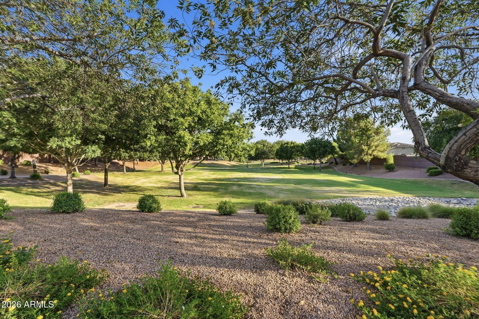 41154 N Soap Berry Street, Queen Creek, AZ 85140 — photo 28 of 29