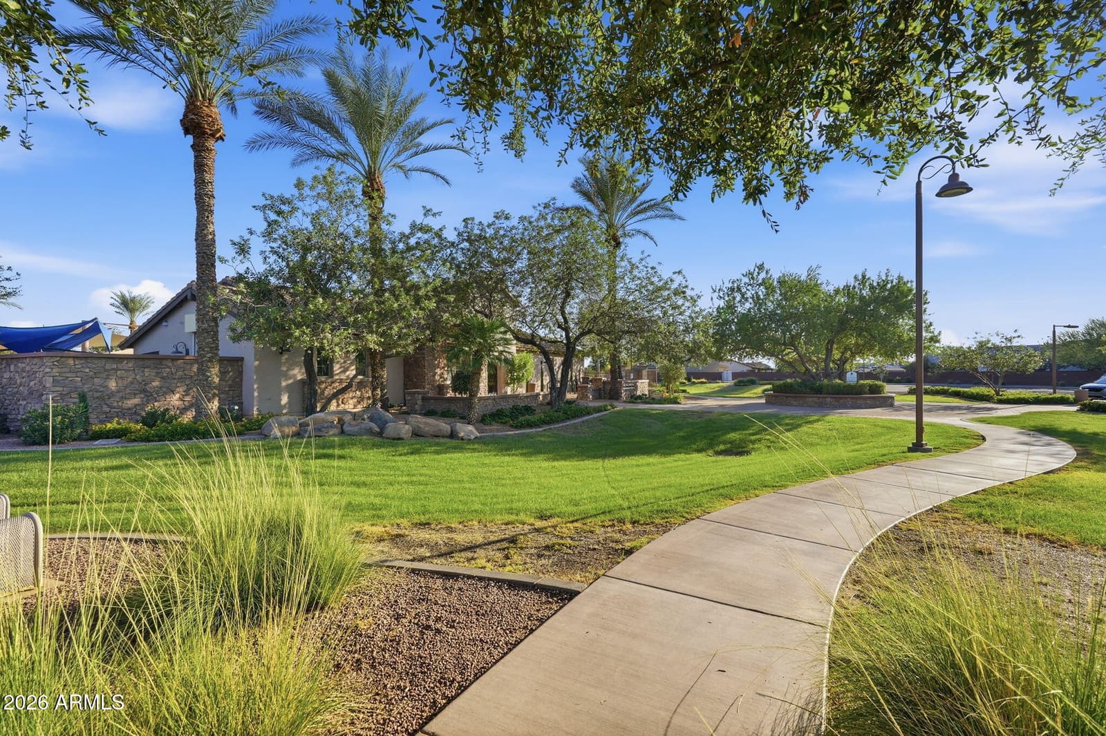 41154 N Soap Berry Street, Queen Creek, AZ 85140 — photo 29 of 29